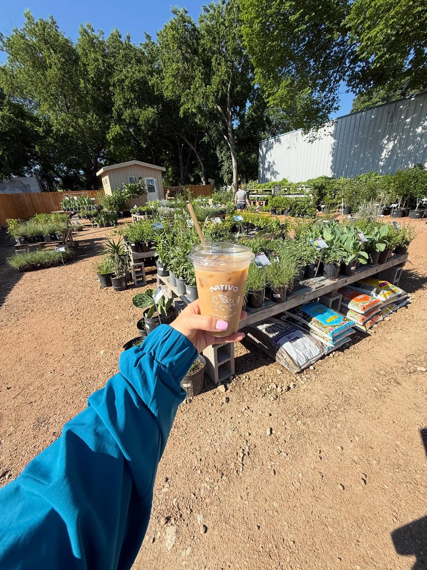 Nativo Café: Coffee, Food, and Garden Oasis