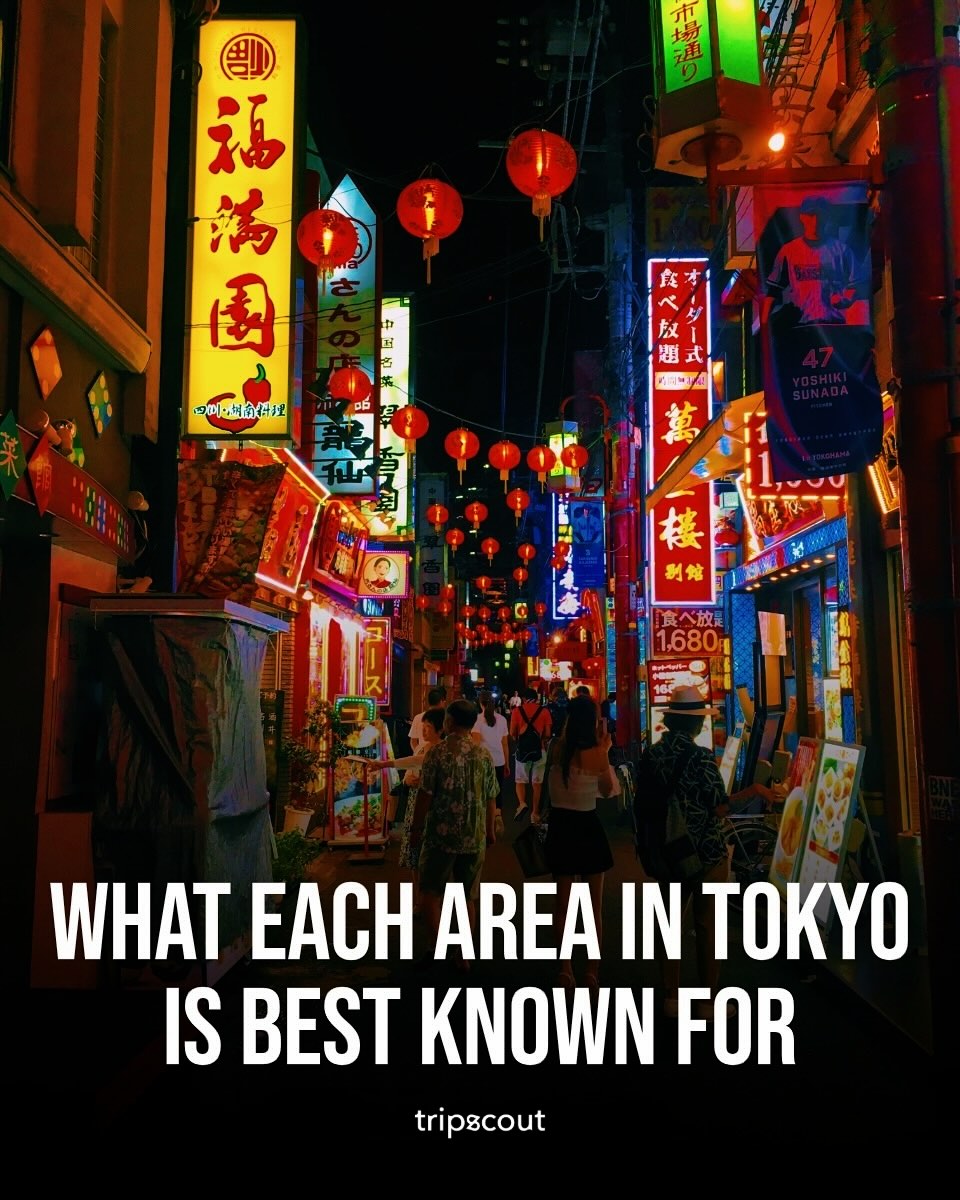 Explore Tokyo's Districts and Cultural Highlights