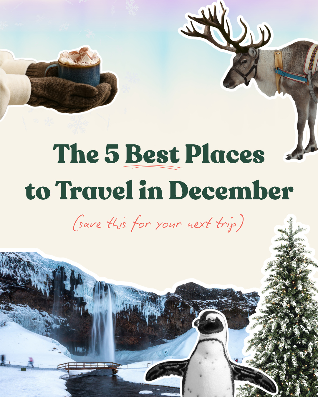 December Travel: Winter Traditions and Summer Escapes