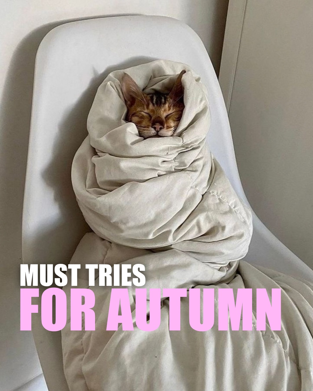 Autumn Dishes From Seven Restaurants