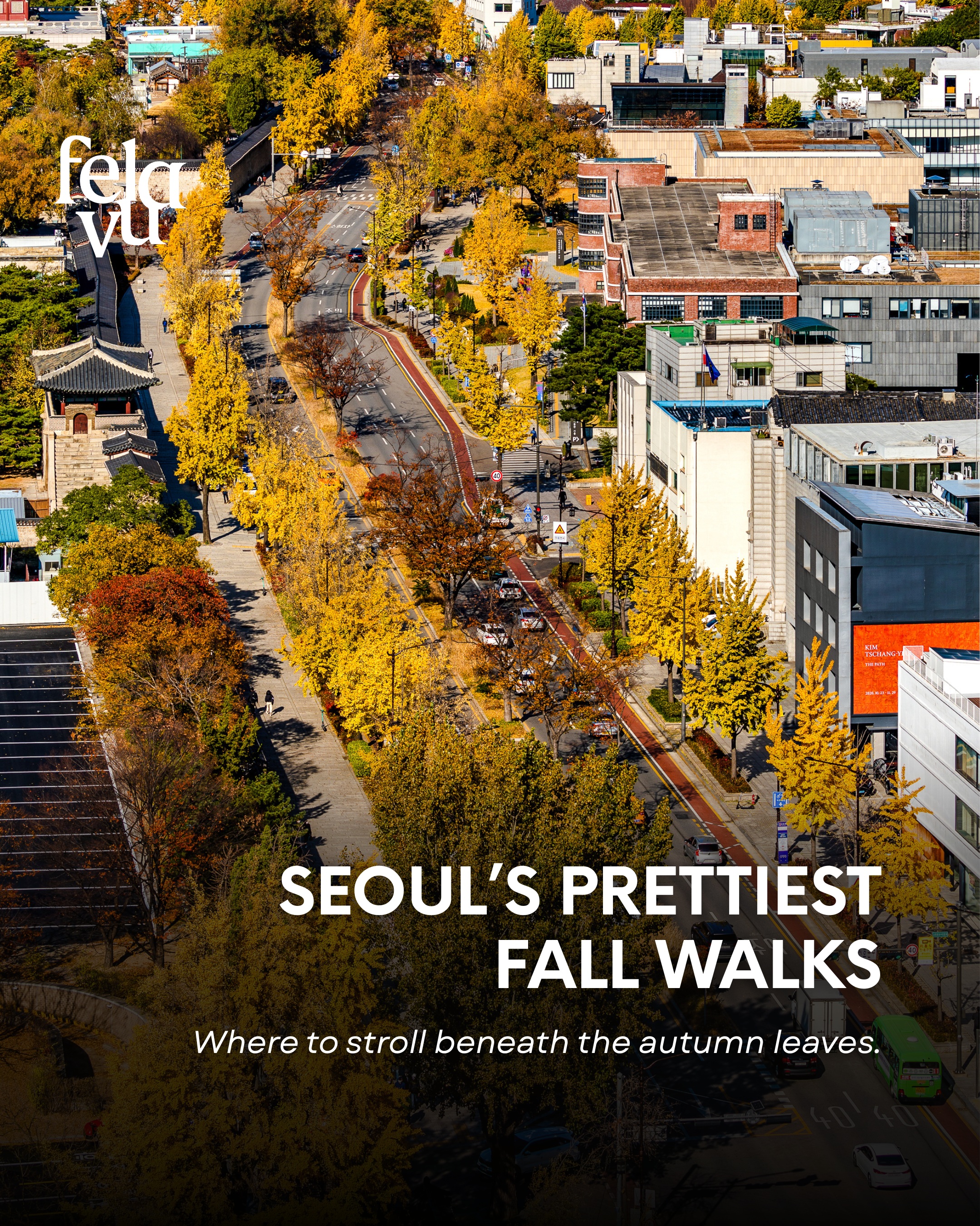 Seoul's Top Fall Foliage Walking Paths