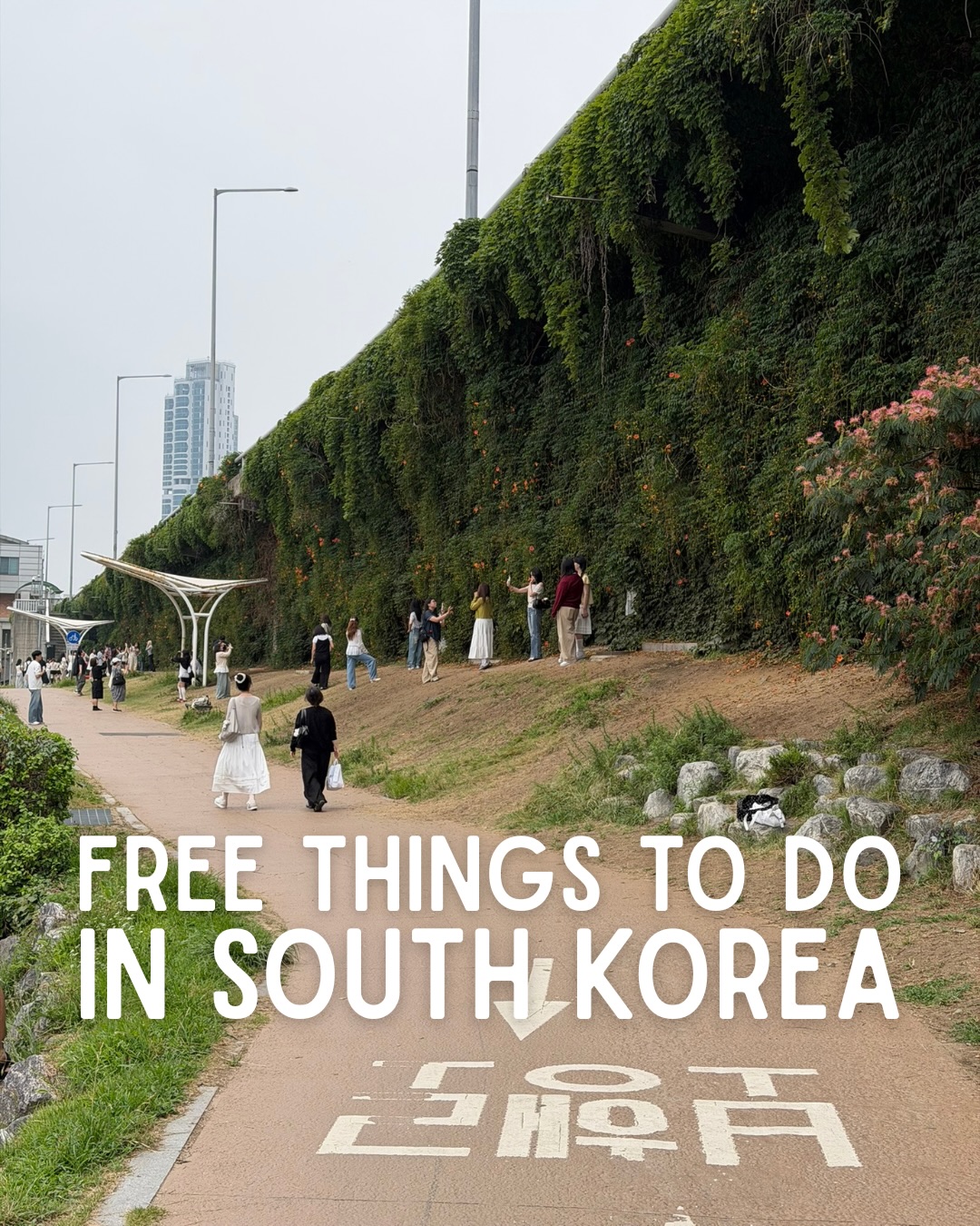 Free Seoul and Busan Attractions For Budget Travelers