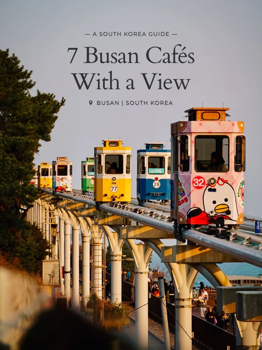 Busan Cafes With Panoramic City and Ocean Views