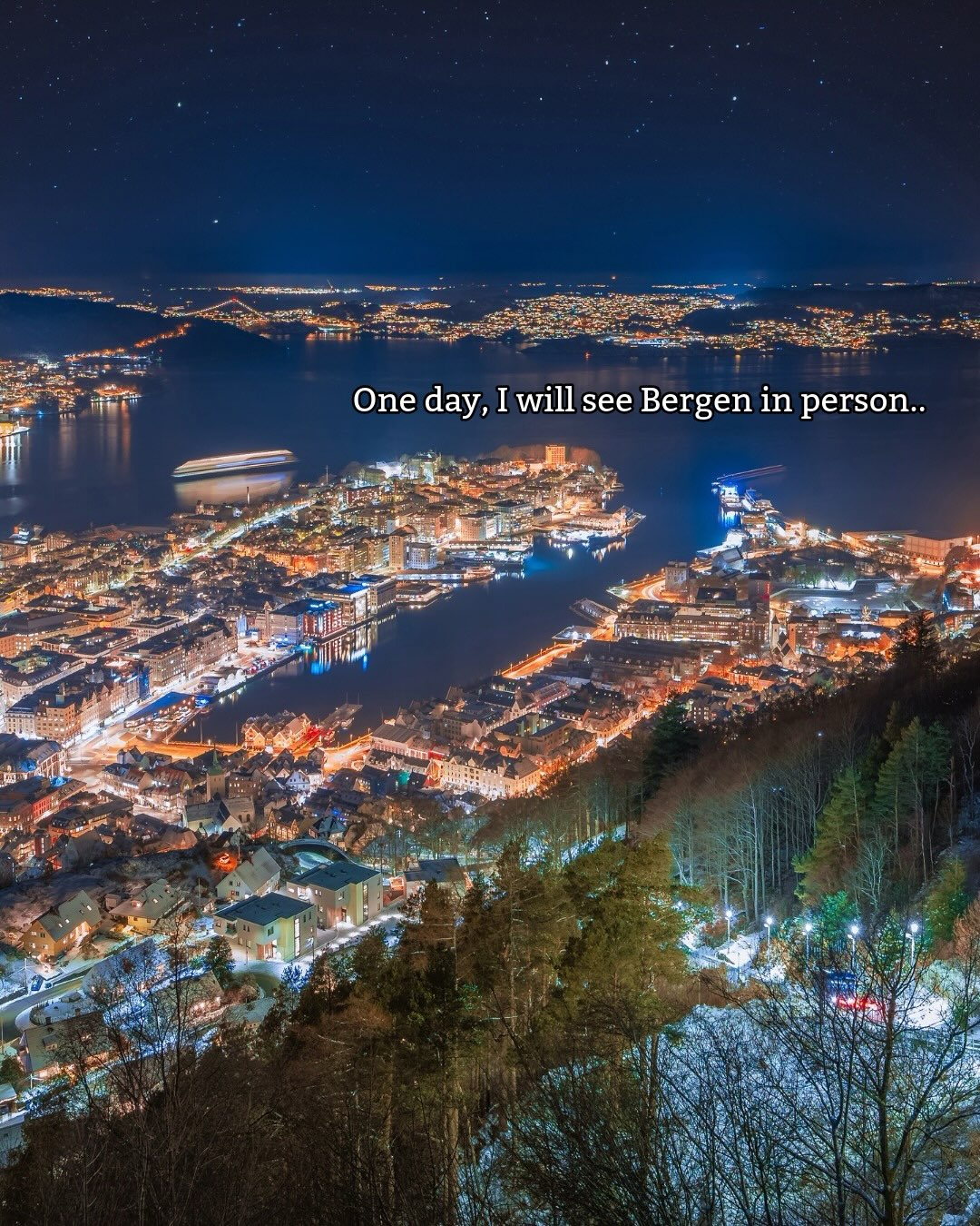 Bergen's Picturesque Charm and Fjord Views