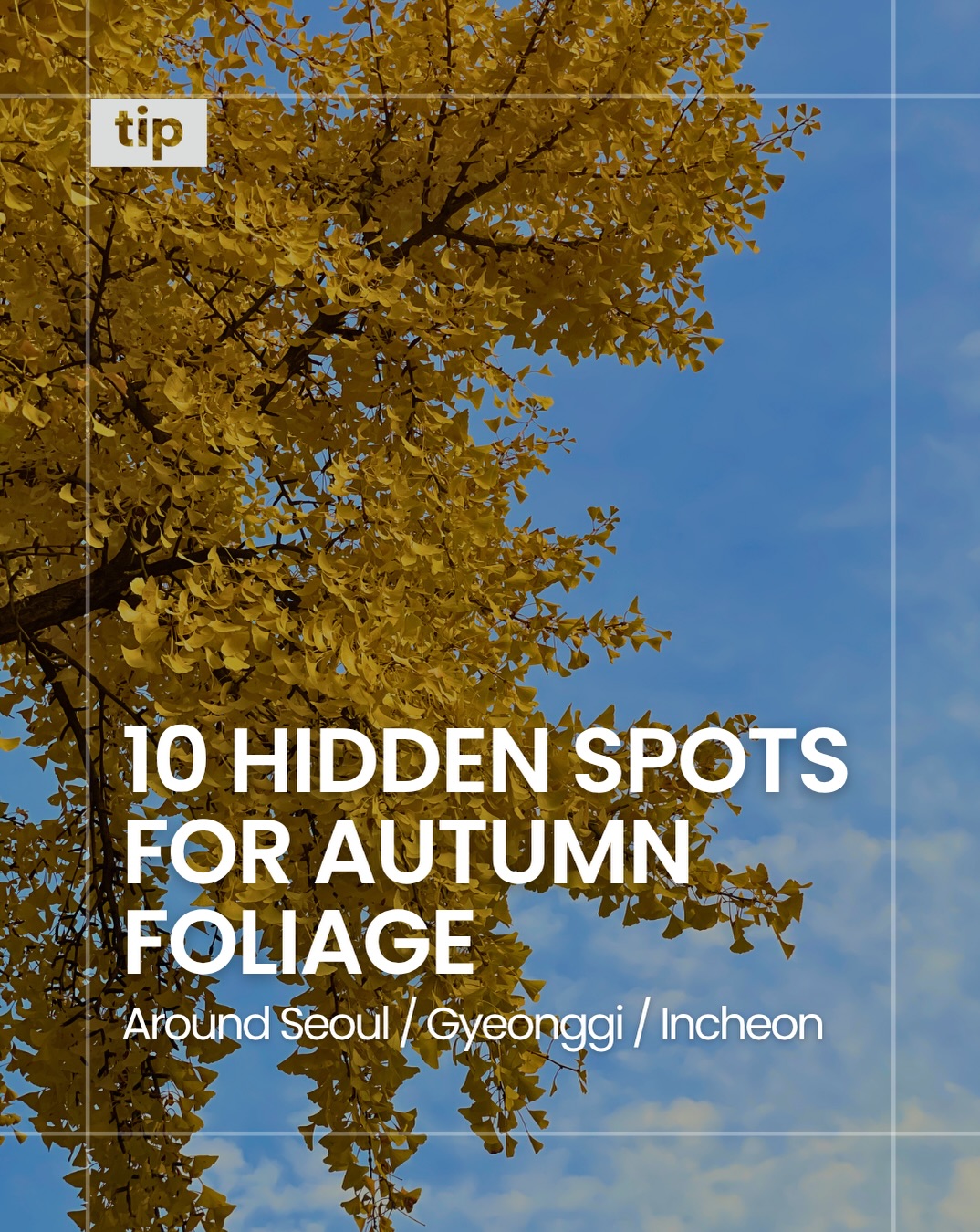 Ten Autumn Foliage Spots Near Seoul