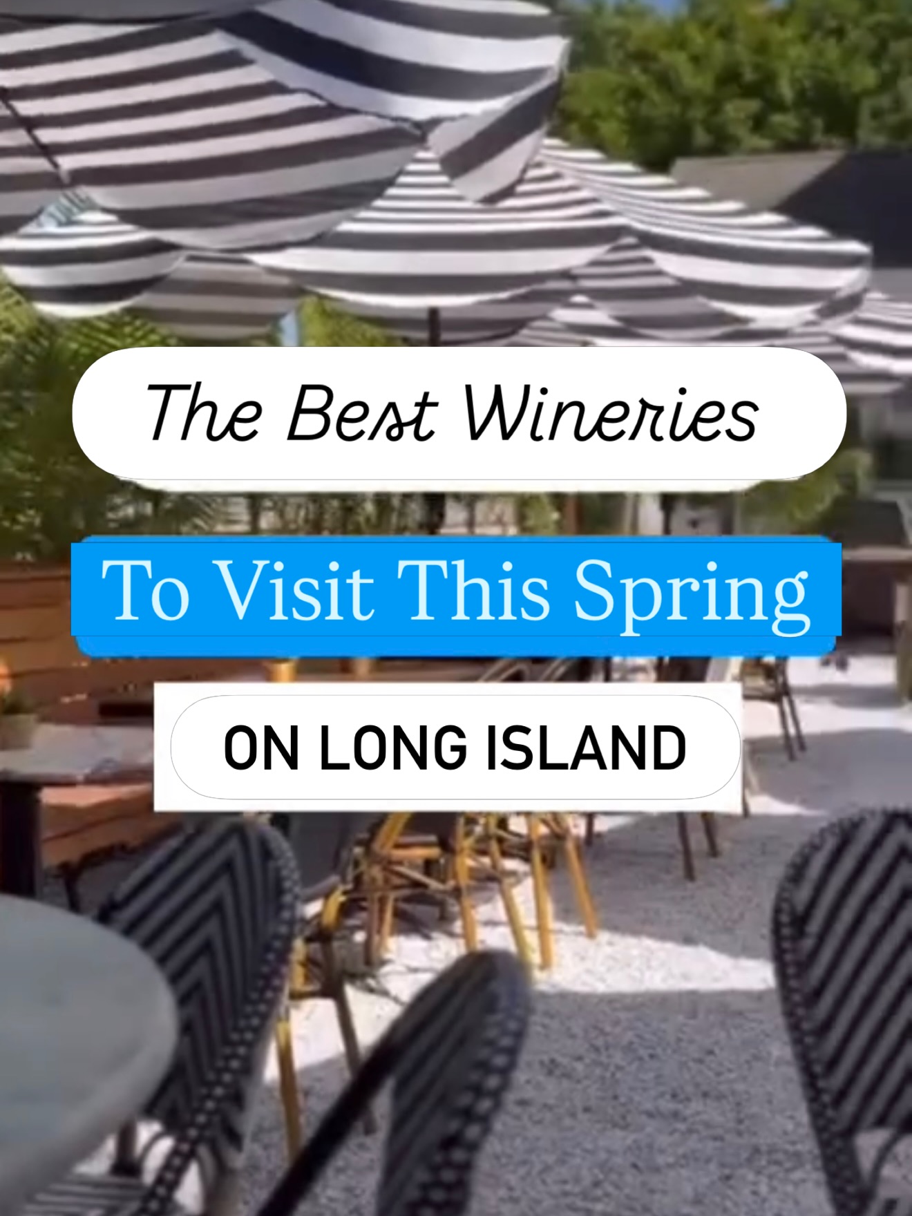 Long Island Vineyards For Spring Wine Tasting