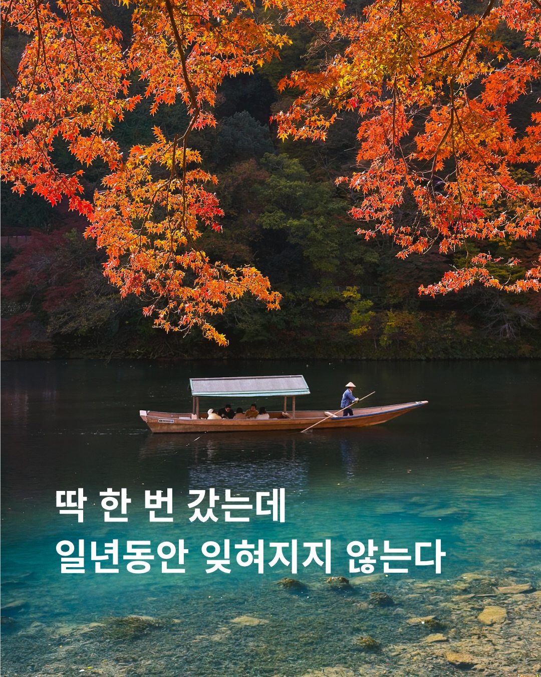 Arashiyama's Autumn Colors and Photography Classes