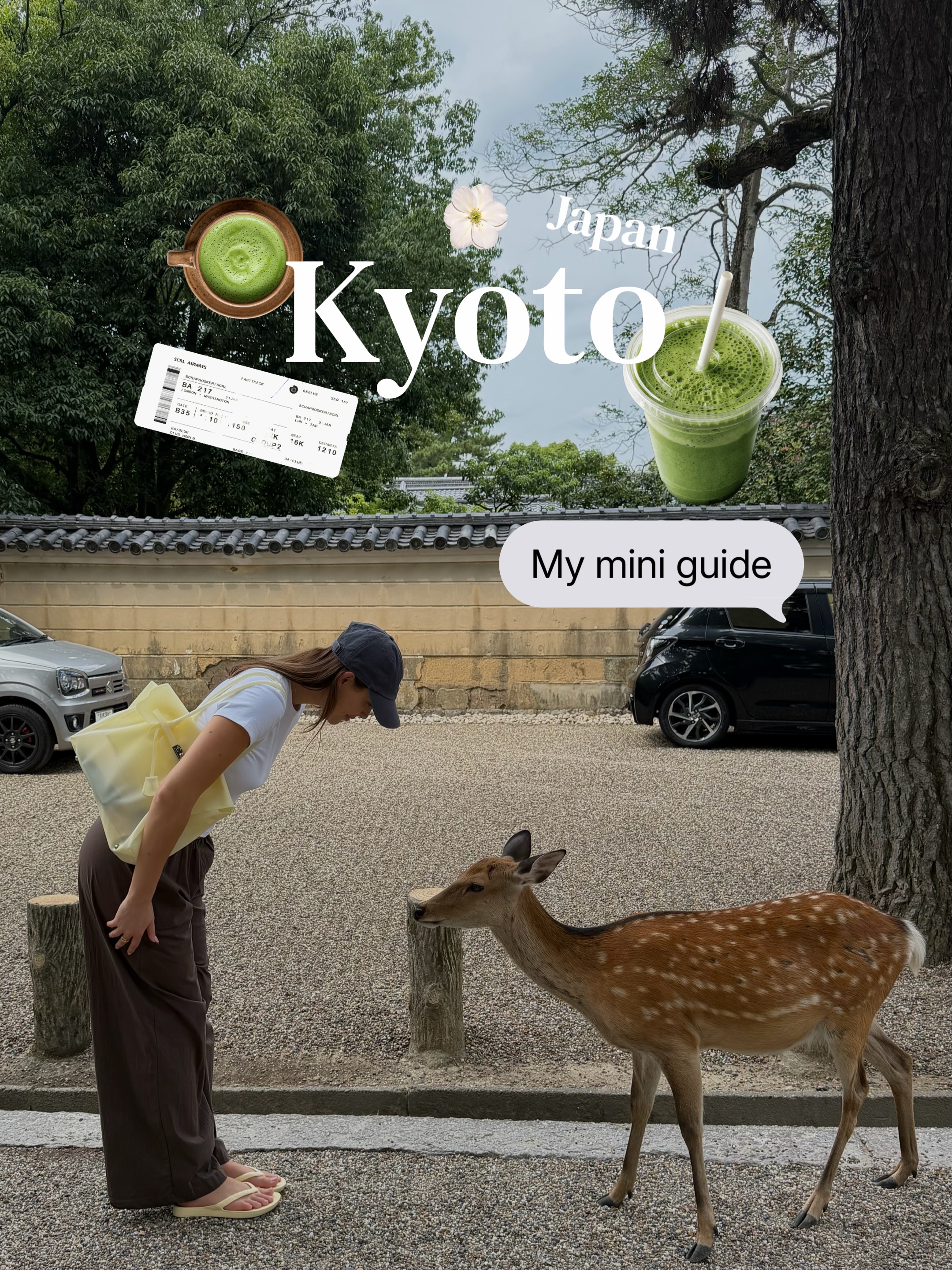 Kyoto Attractions: Temples, Markets, and Dining