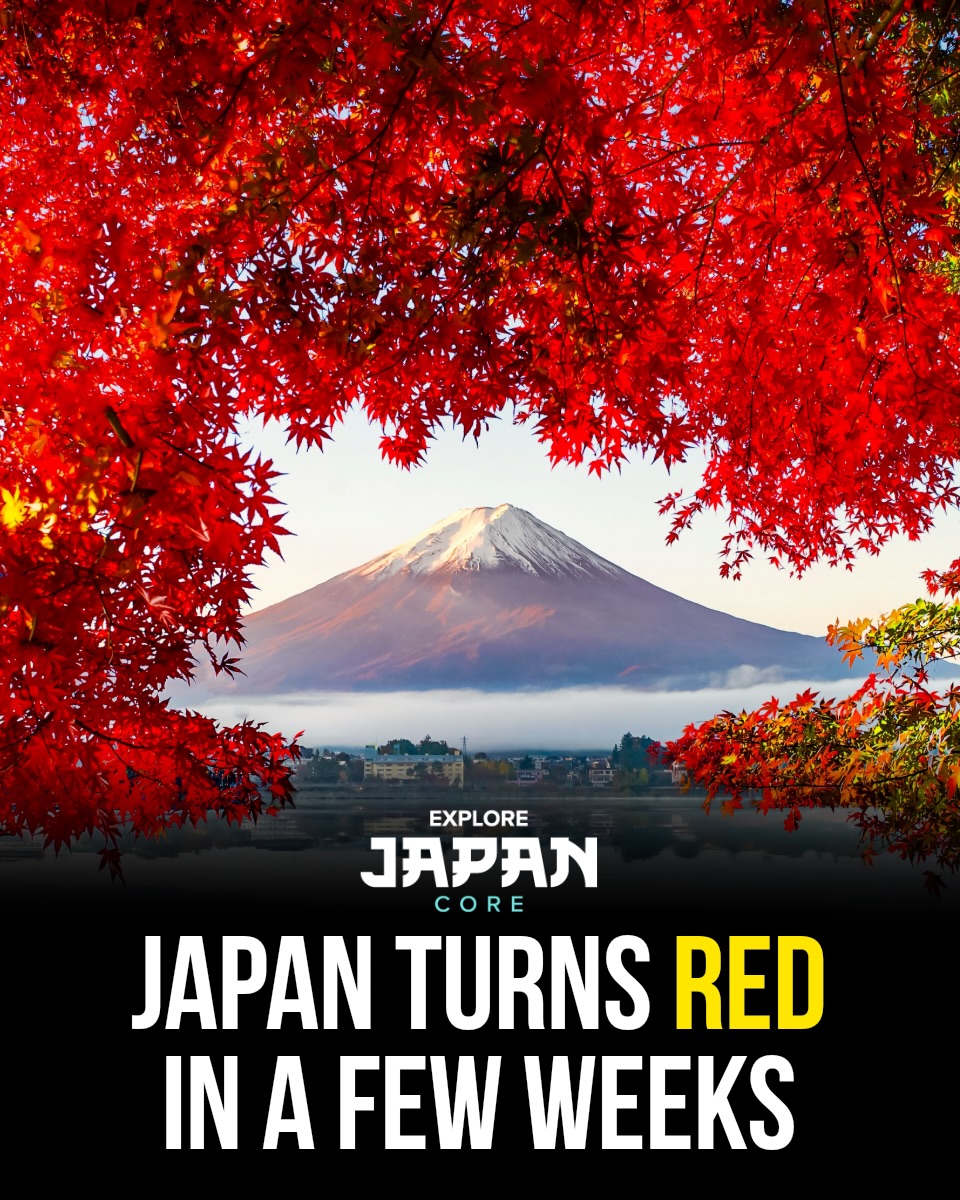 Japan's Autumn Foliage Colors Scenic Spots