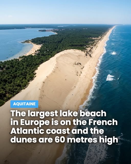 France's Largest Lake Beach And Forest