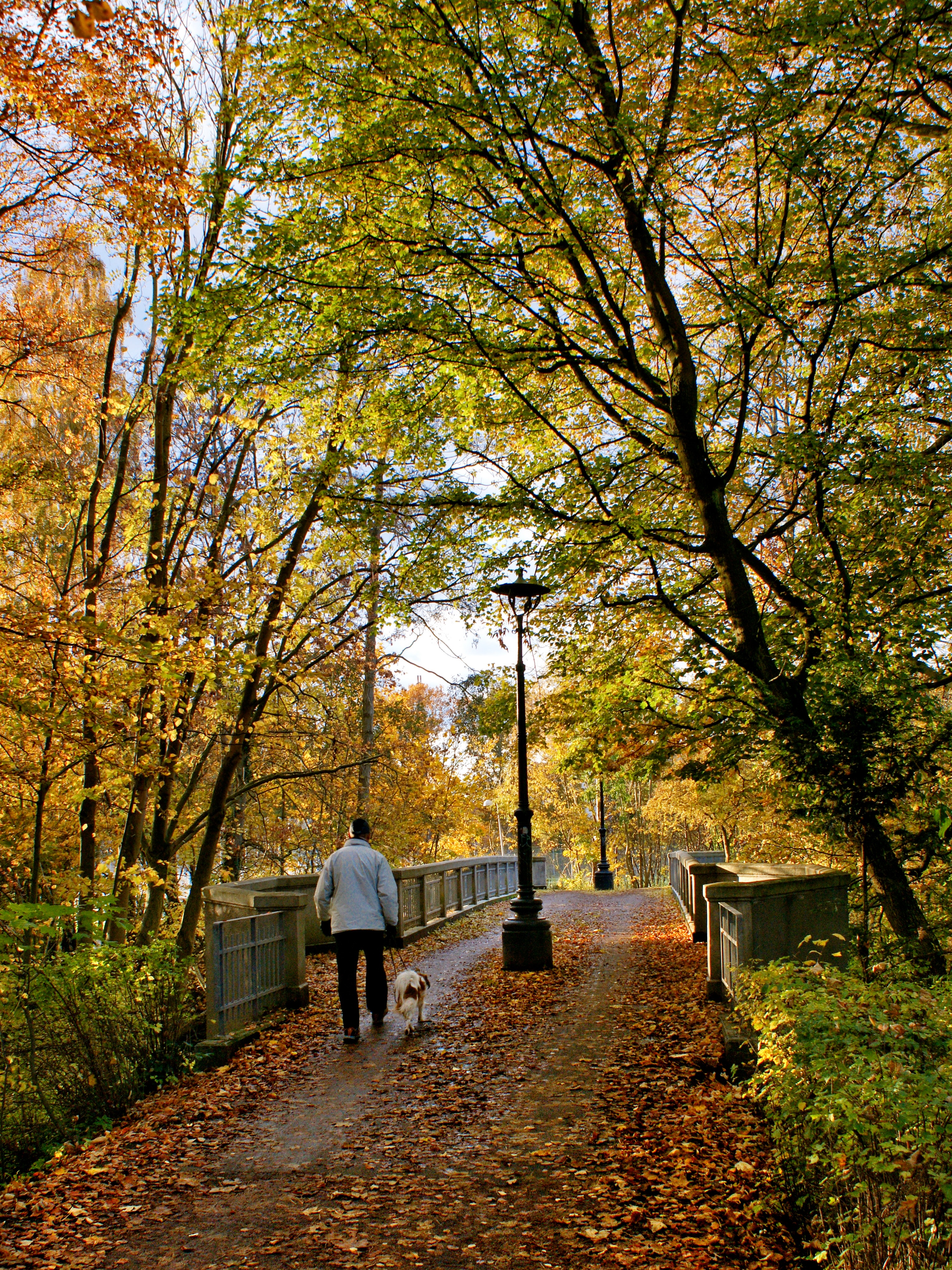 Odense Autumn Scenery Through Parks and Streets