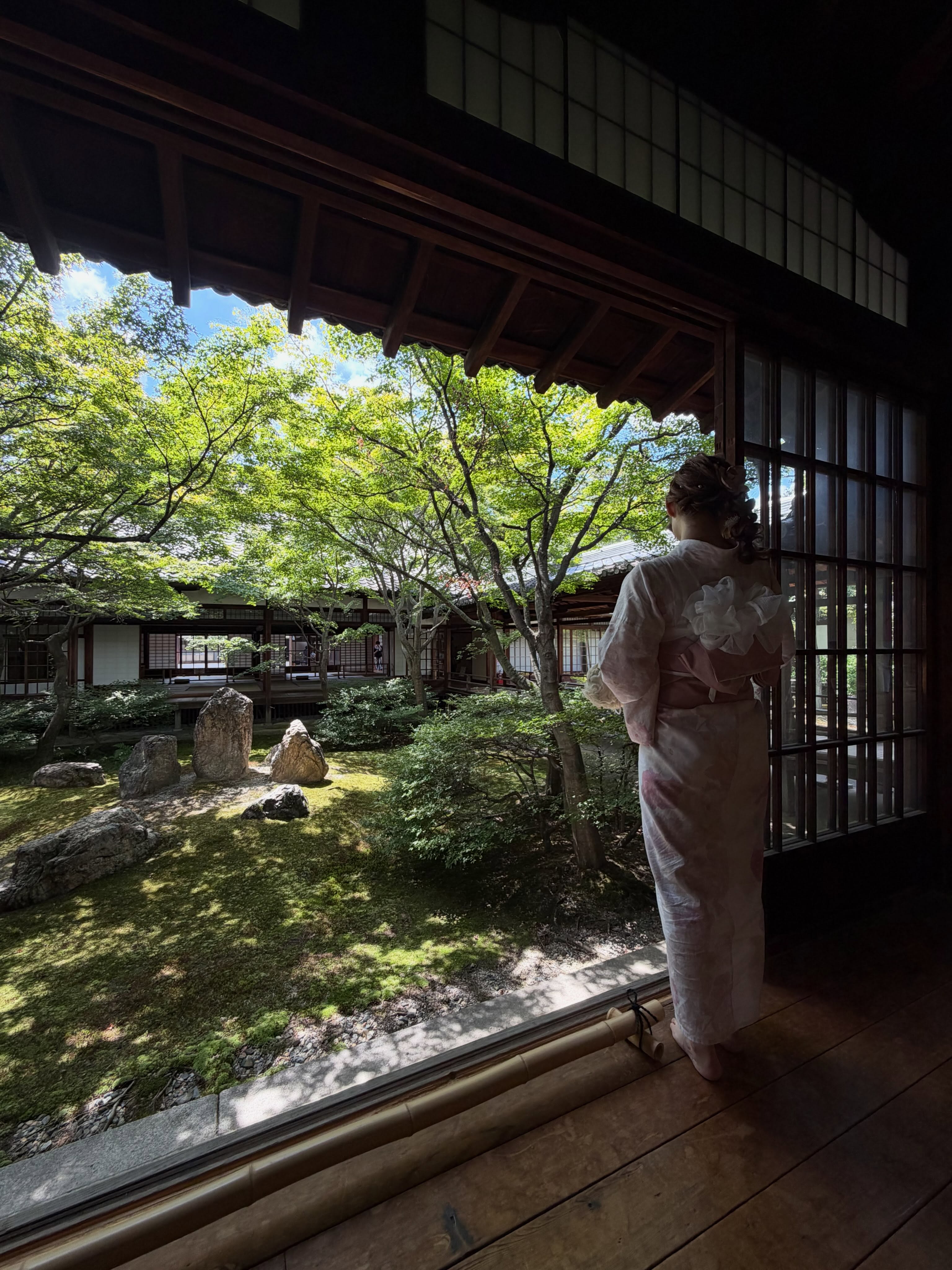 Kyoto's Temples, Historic Streets, and River Views
