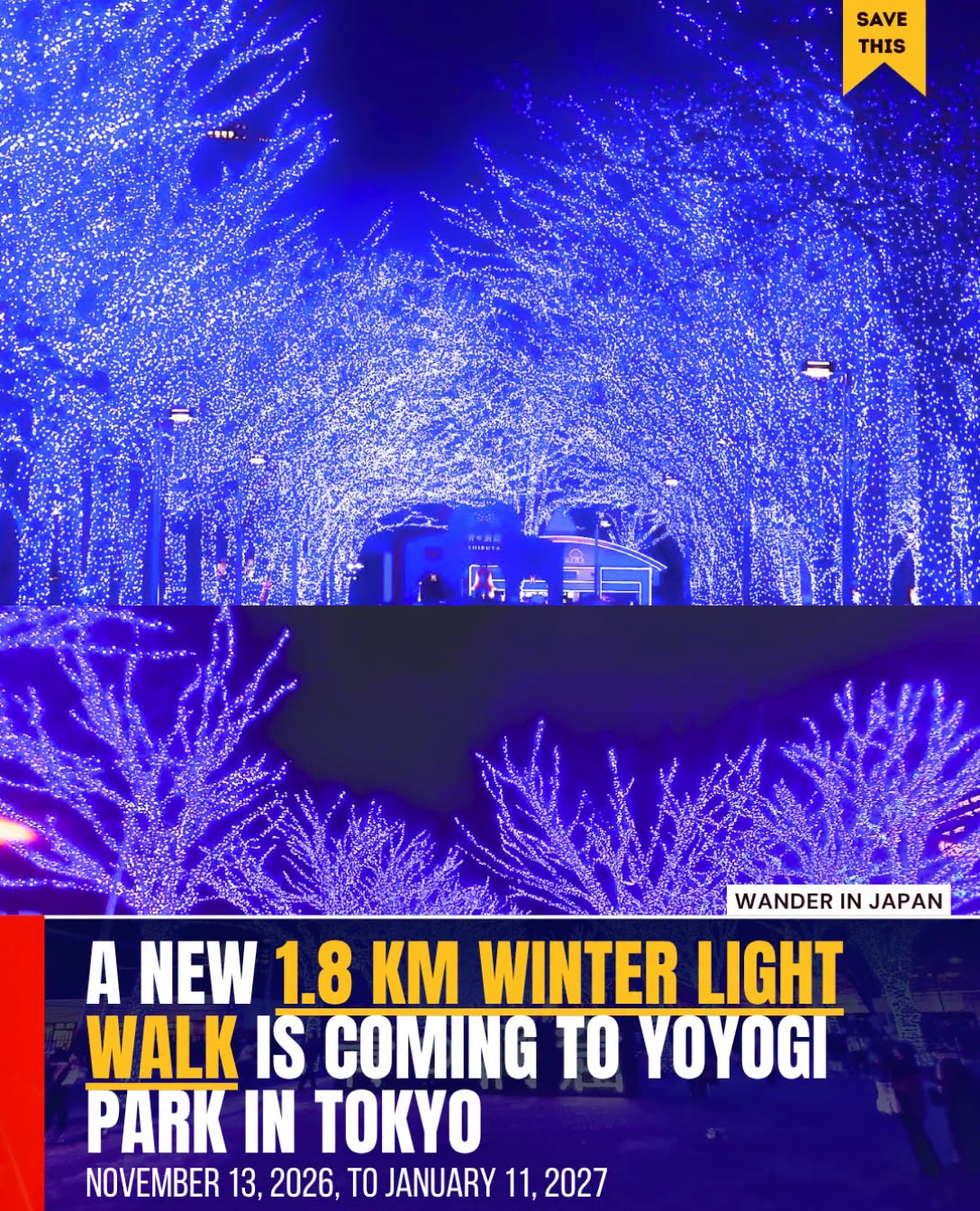Yoyogi Park Winter Light Walk Event Announced