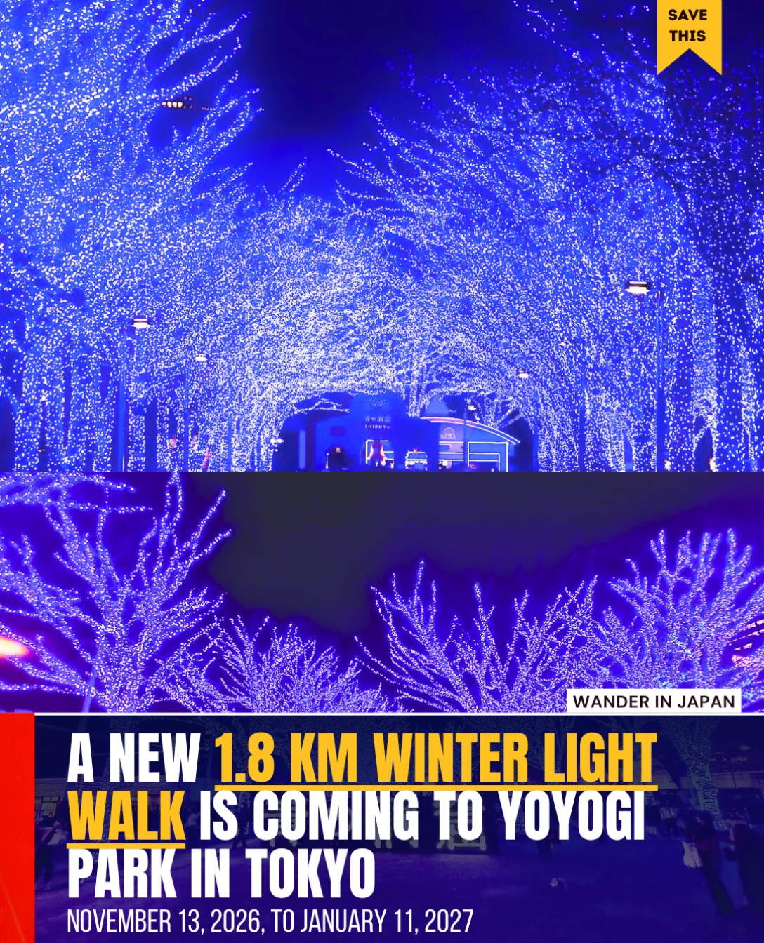 Yoyogi Park Hosts Winter Light Walk