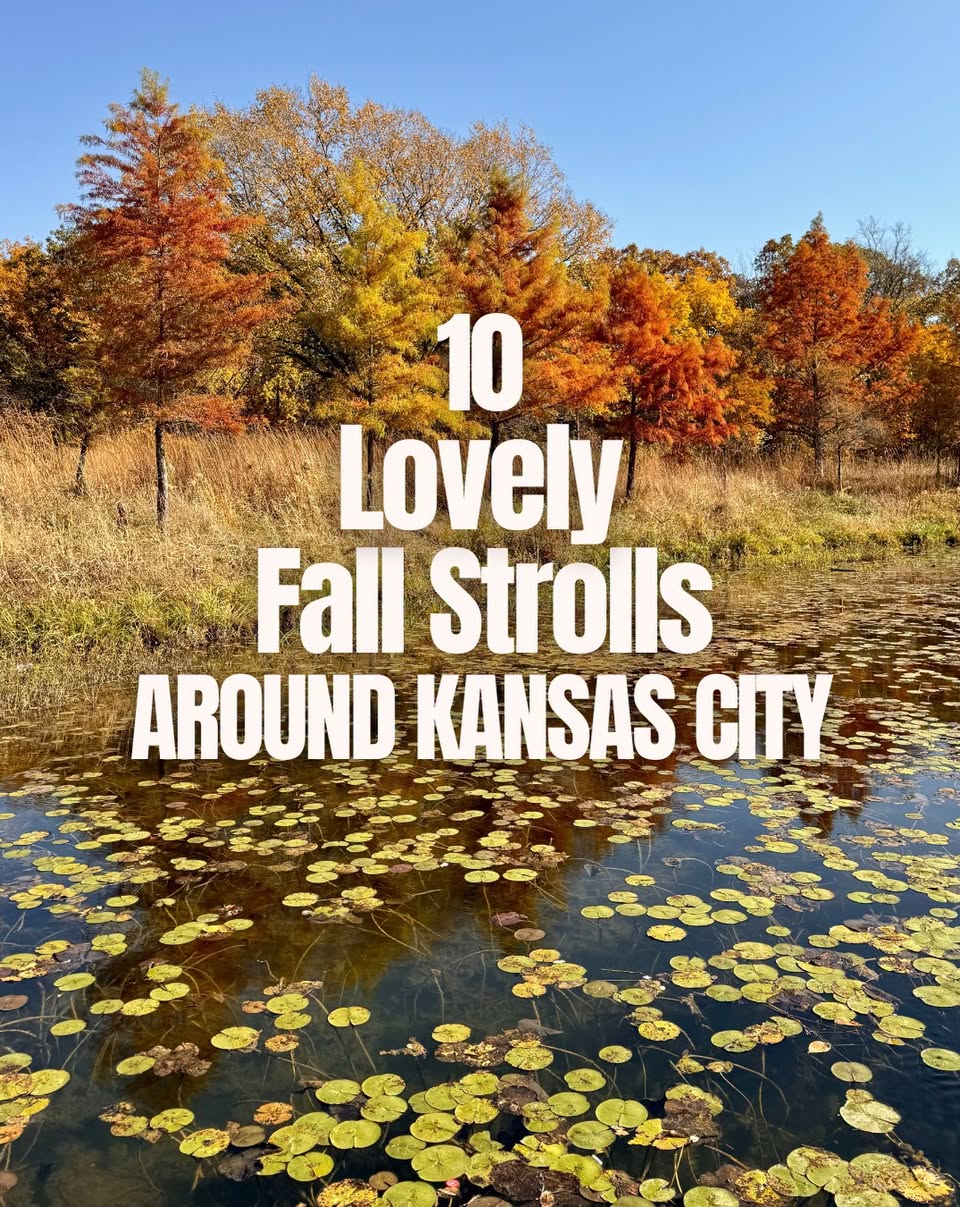 Kansas City Area Parks And Trails For Fall Foliage