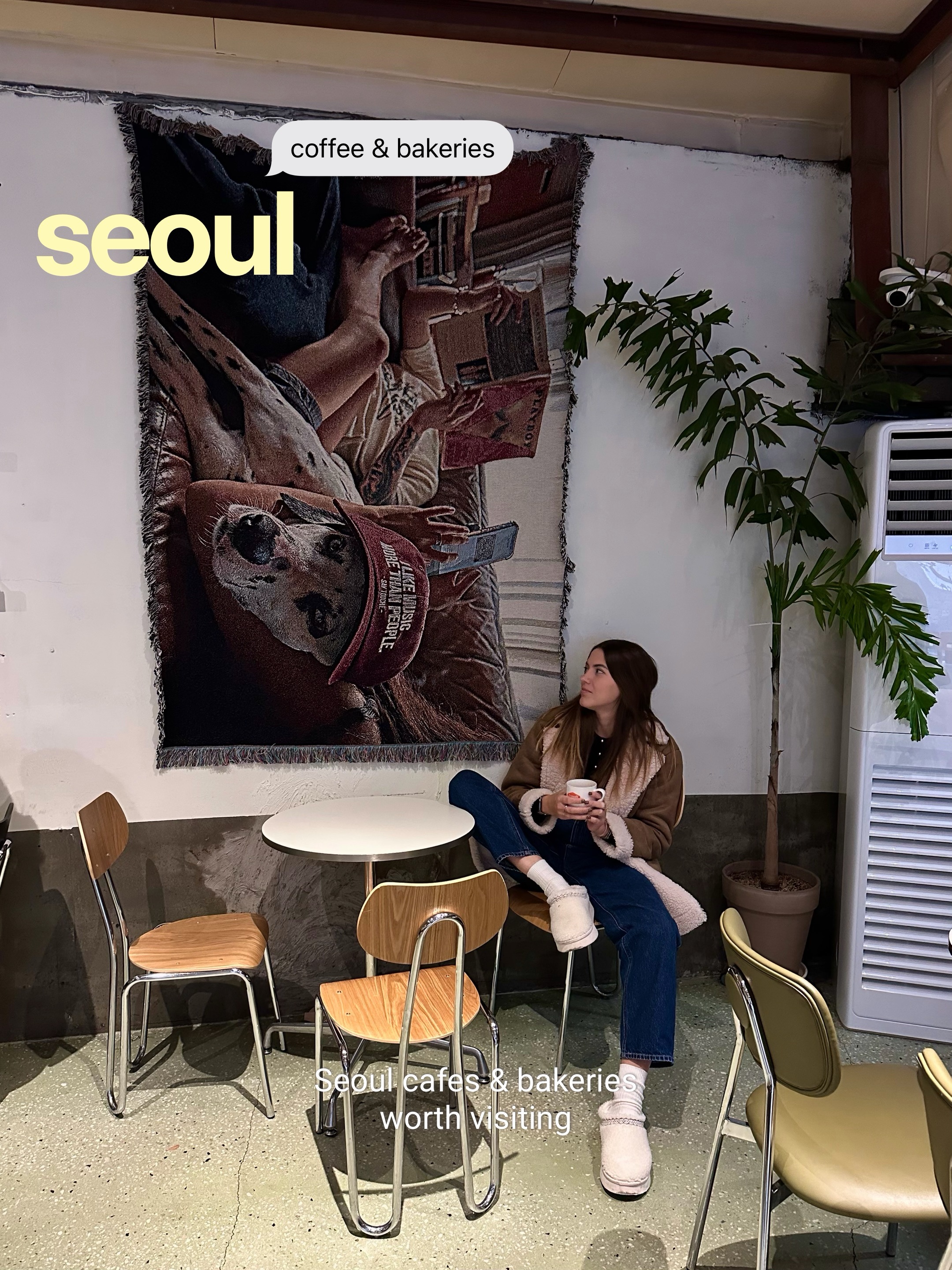 Seoul's Aesthetic Cafes and Tea Houses