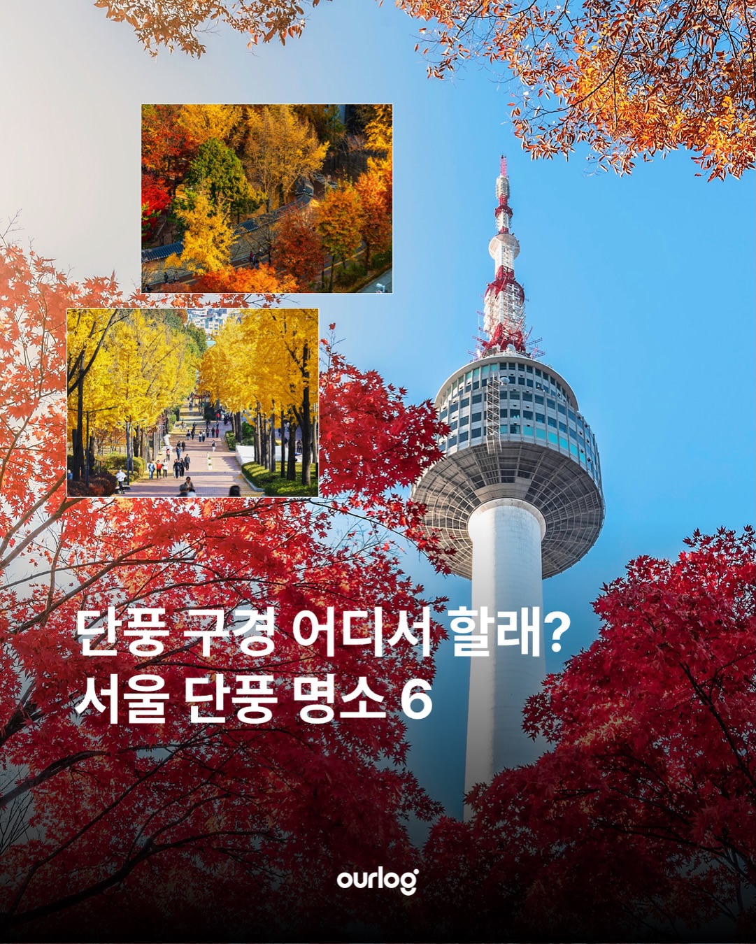 Seoul Autumn Foliage Spots With Nearby Dining