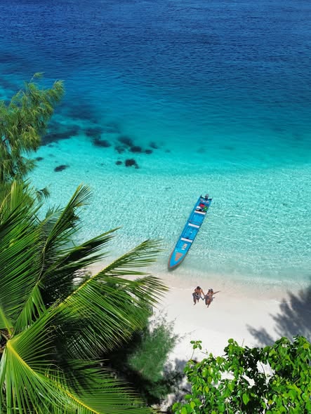 Sulawesi Exploration: Waterfalls, Beaches, and Homestays
