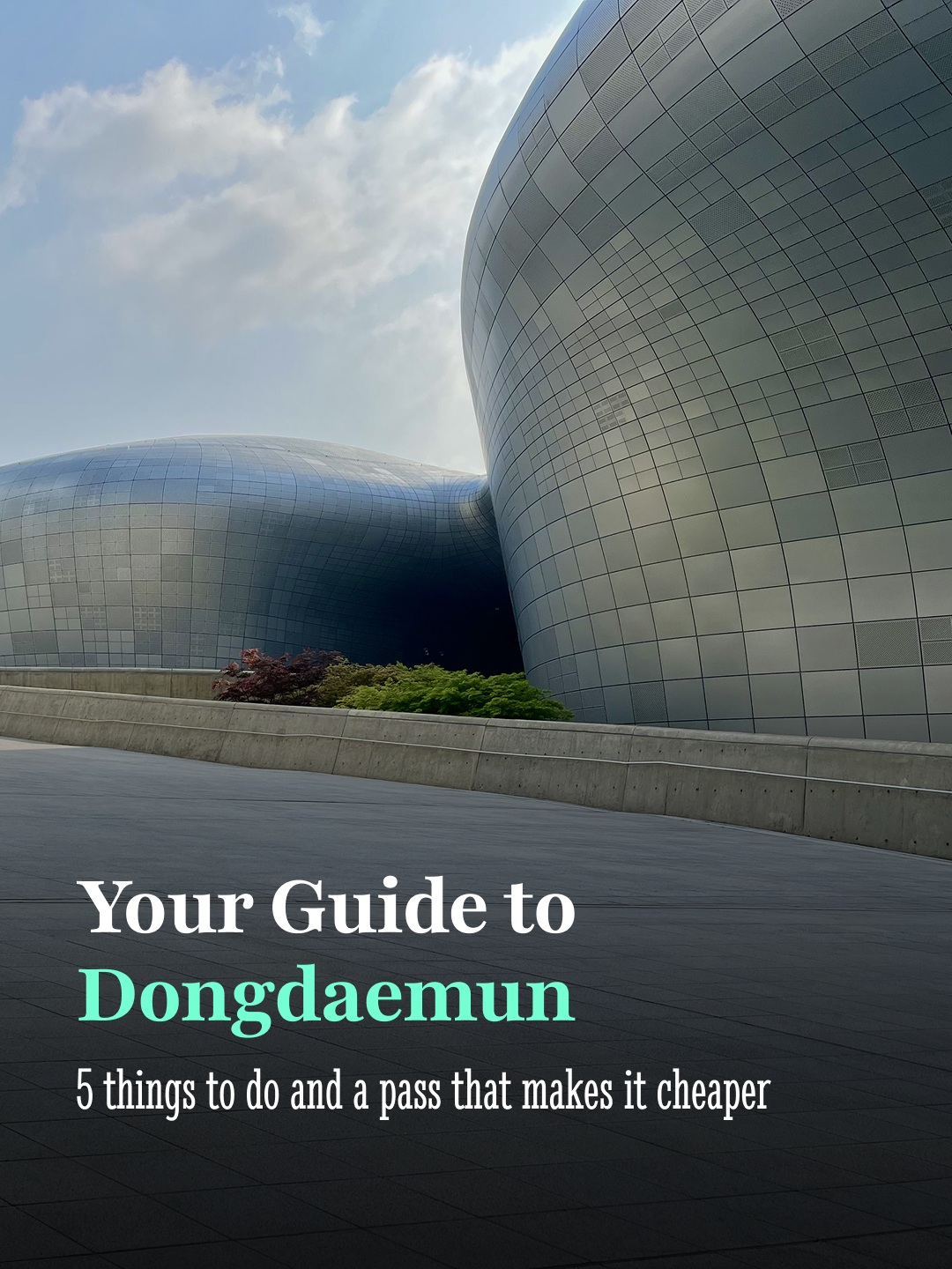 Explore Dongdaemun's Shopping and Cultural Hubs