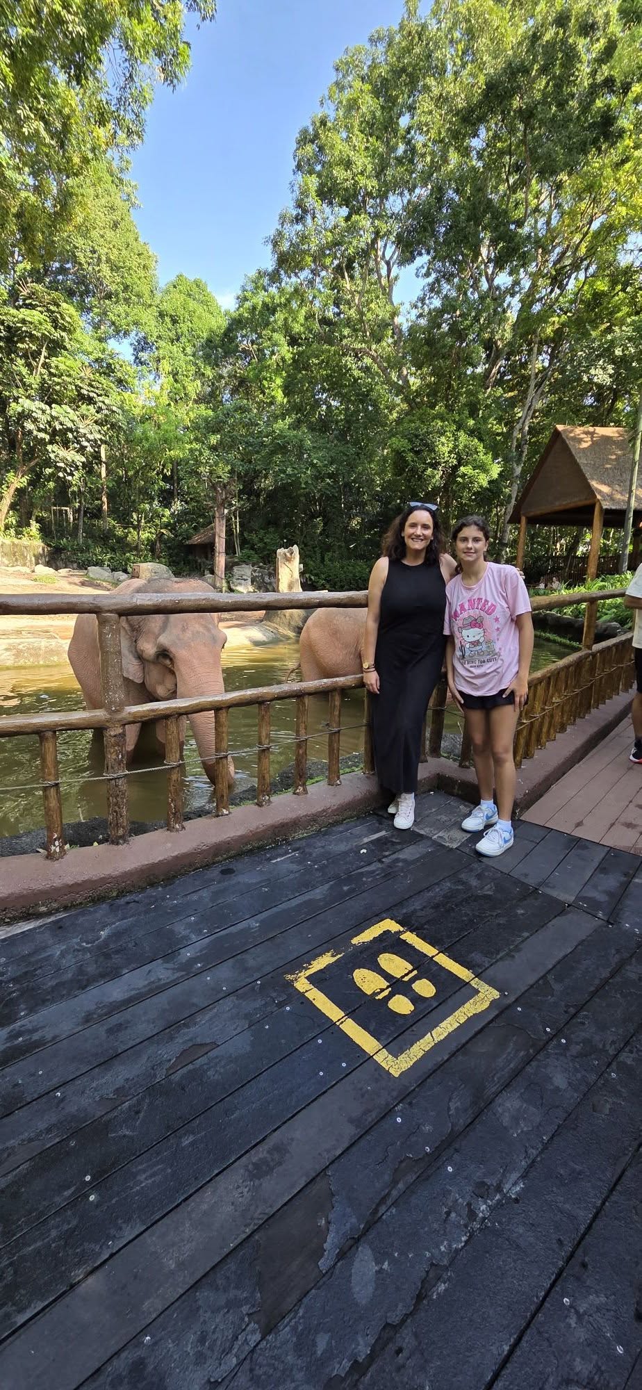 Singapore Family Adventure: Gardens, Zoo, and Sentosa