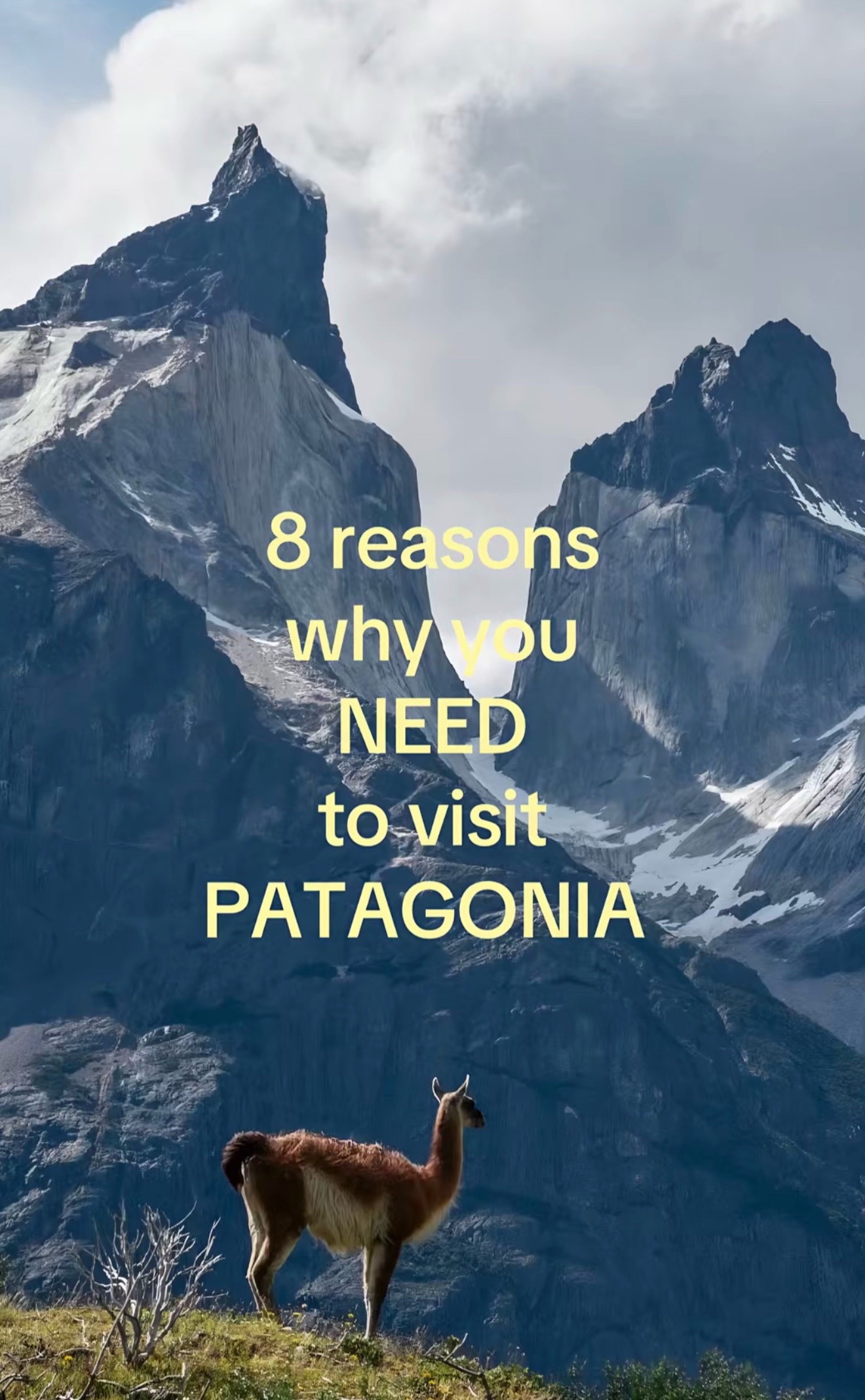 Patagonia's Natural Wonders for Adventure Lovers