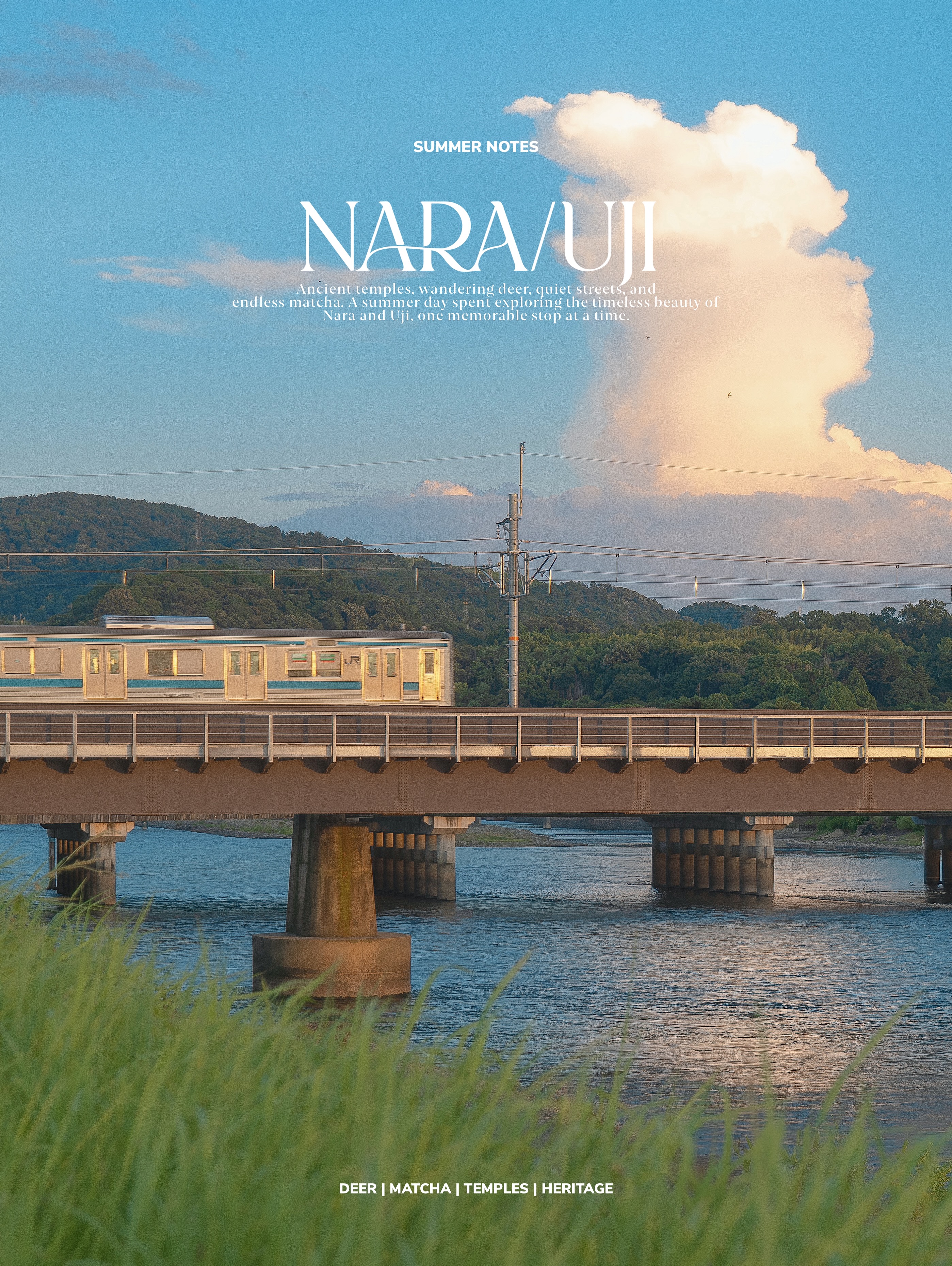 Nara and Uji: A Summer Day Trip of Deer and Matcha