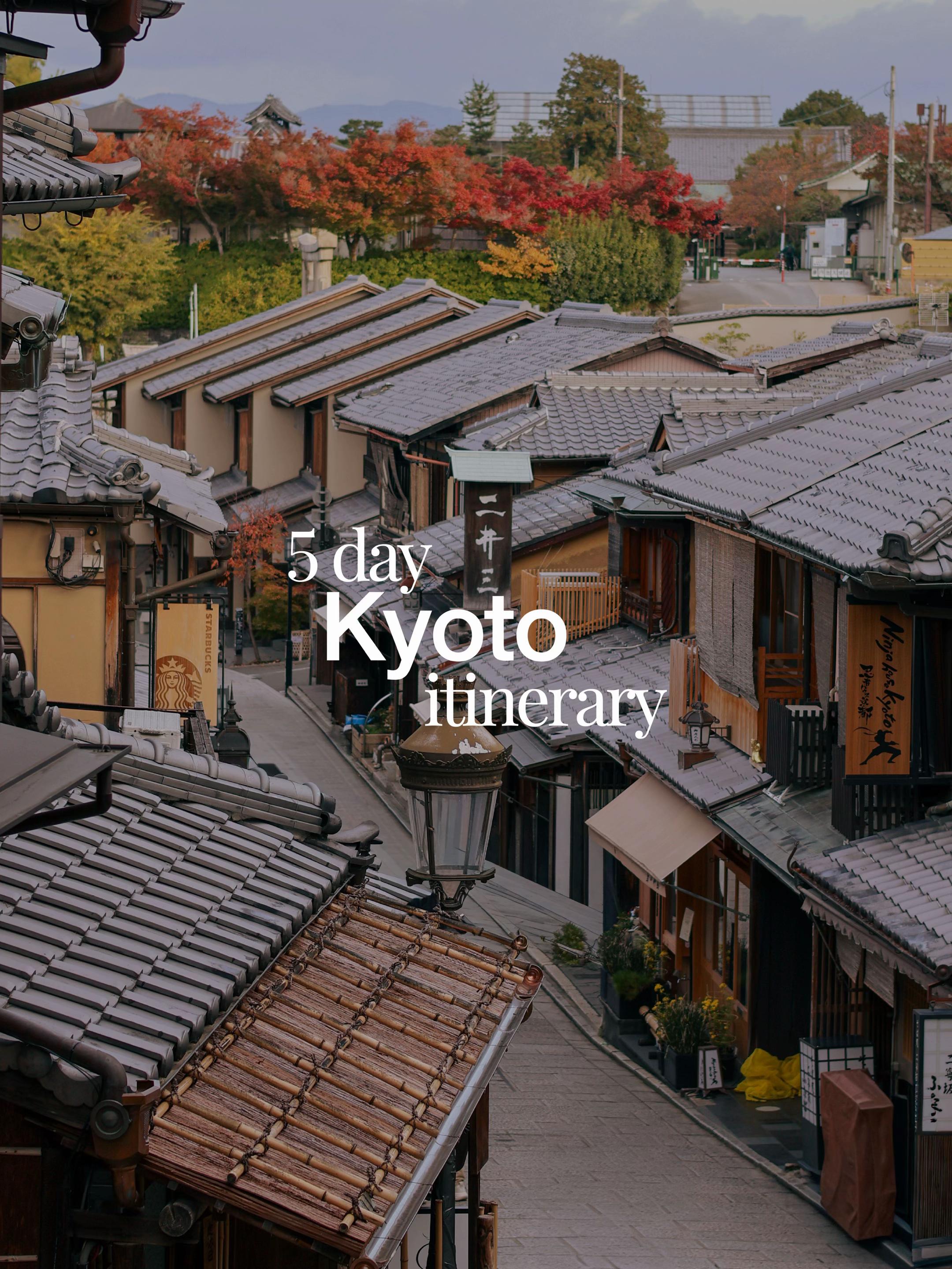 Kyoto Temples, Shrines, Markets, and Nature Highlights