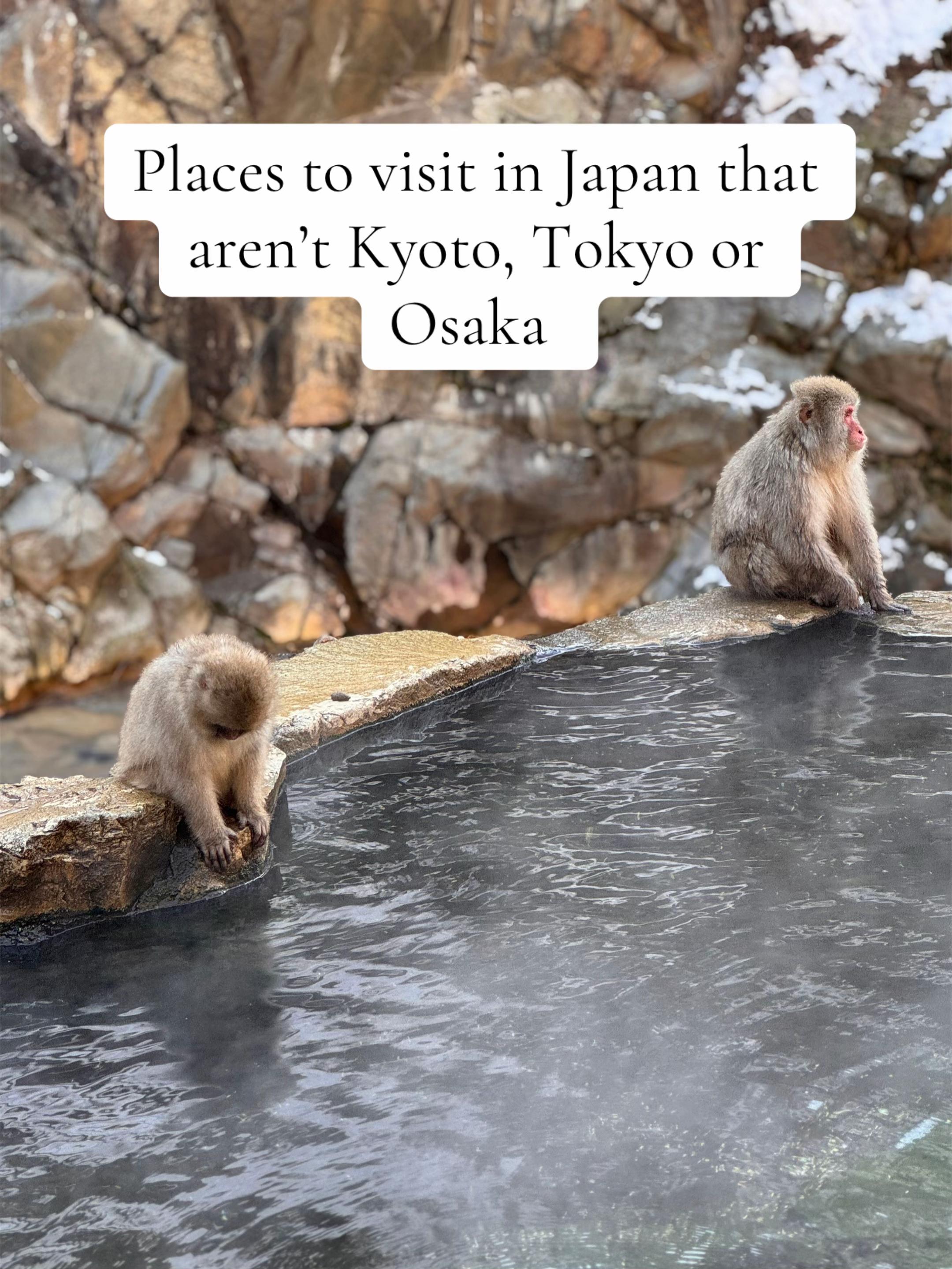 Explore Japan's Unique Natural and Cultural Wonders