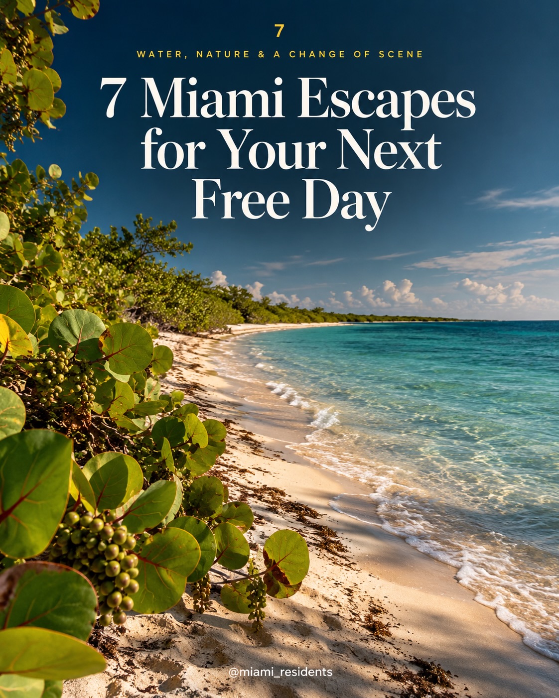 Eight Florida Parks For Nature Escapes