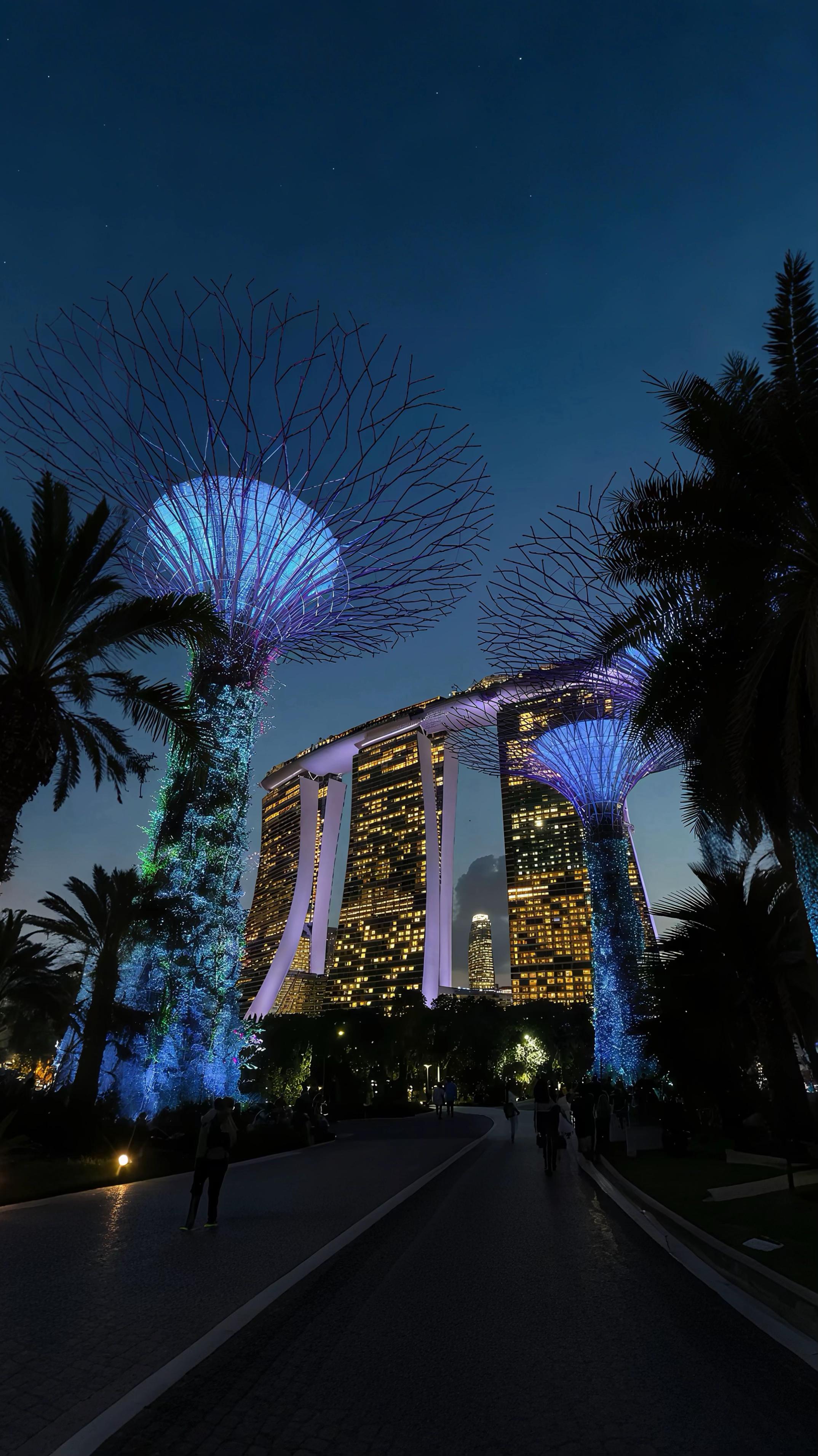 Iconic Singapore Landmarks At Night