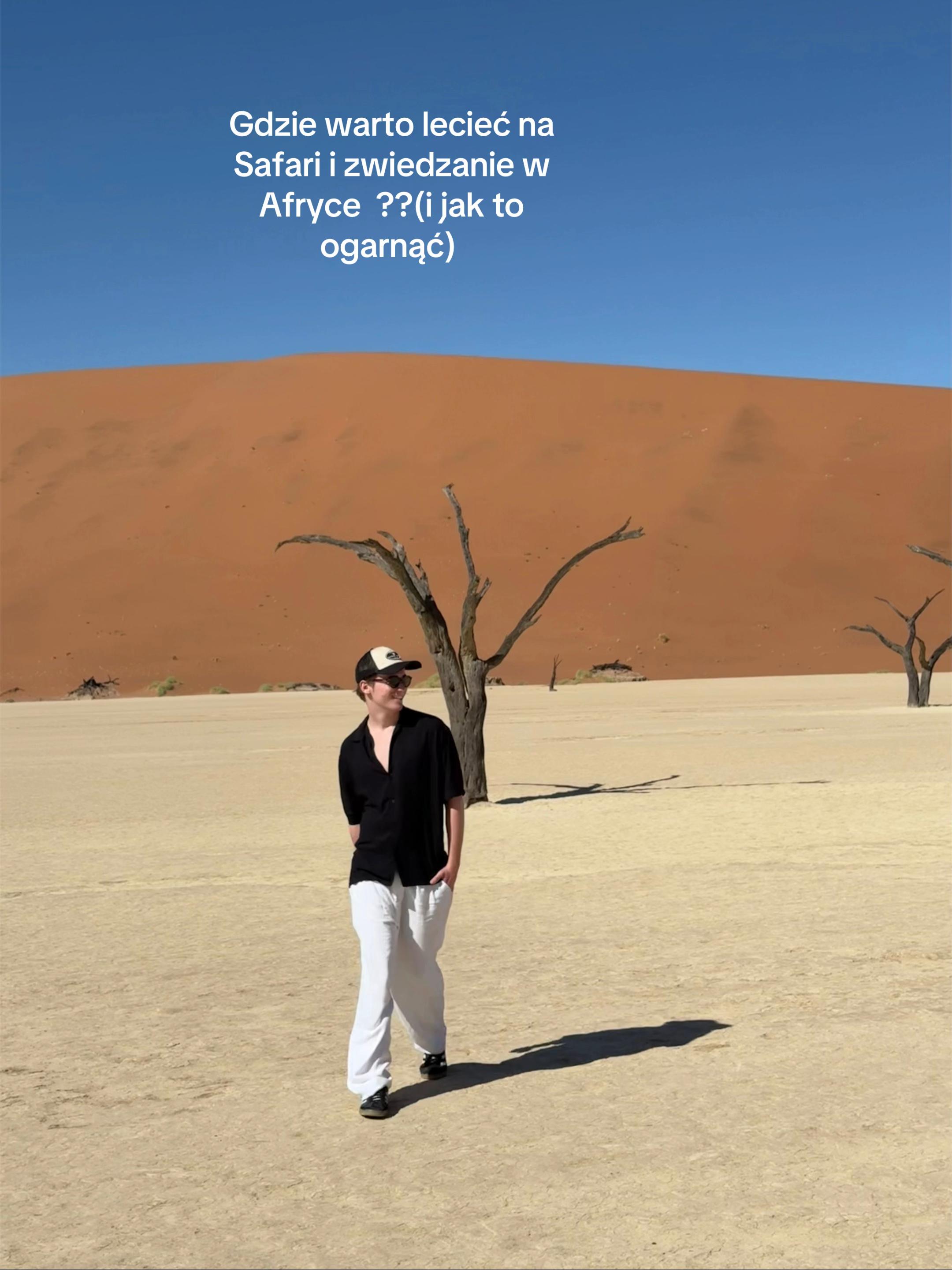 Namibian Adventure: Dunes, Wildlife, and Mountain Vistas