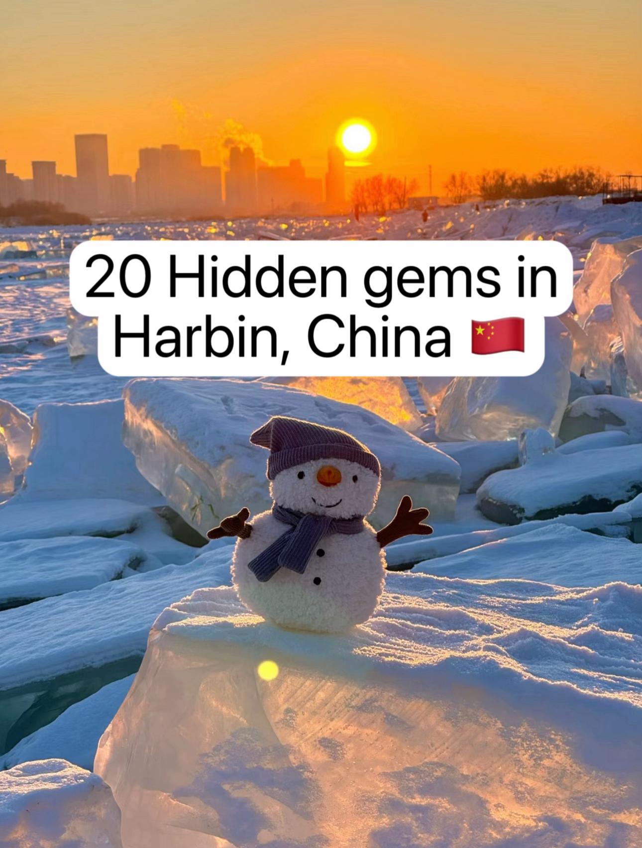 Harbin's Winter Wonders and Culinary Delights