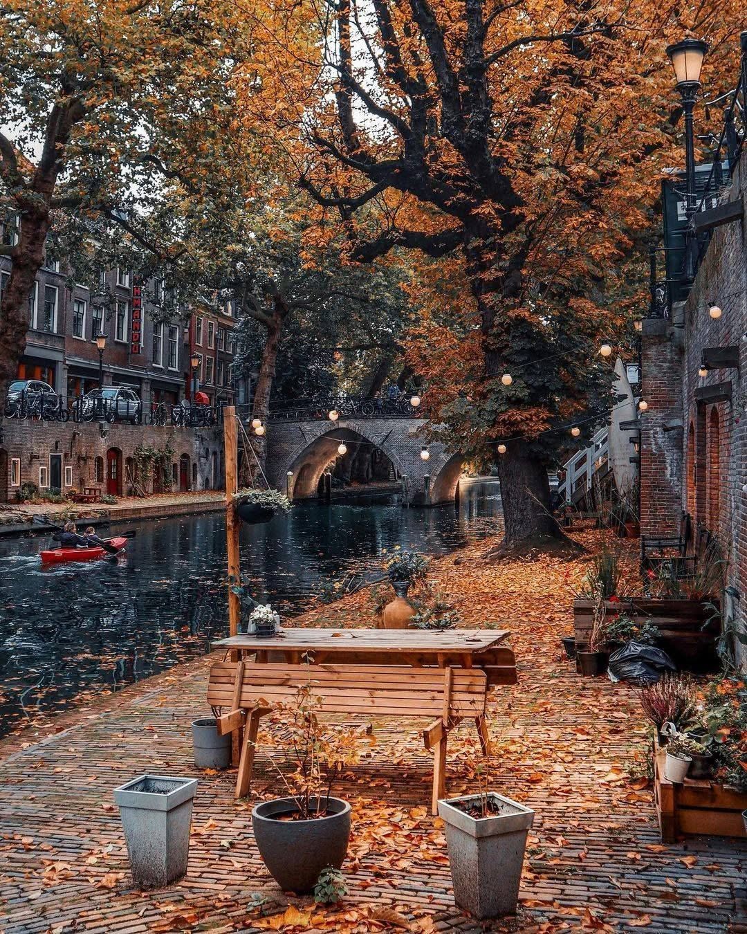 Utrecht Canal View With Autumn Foliage