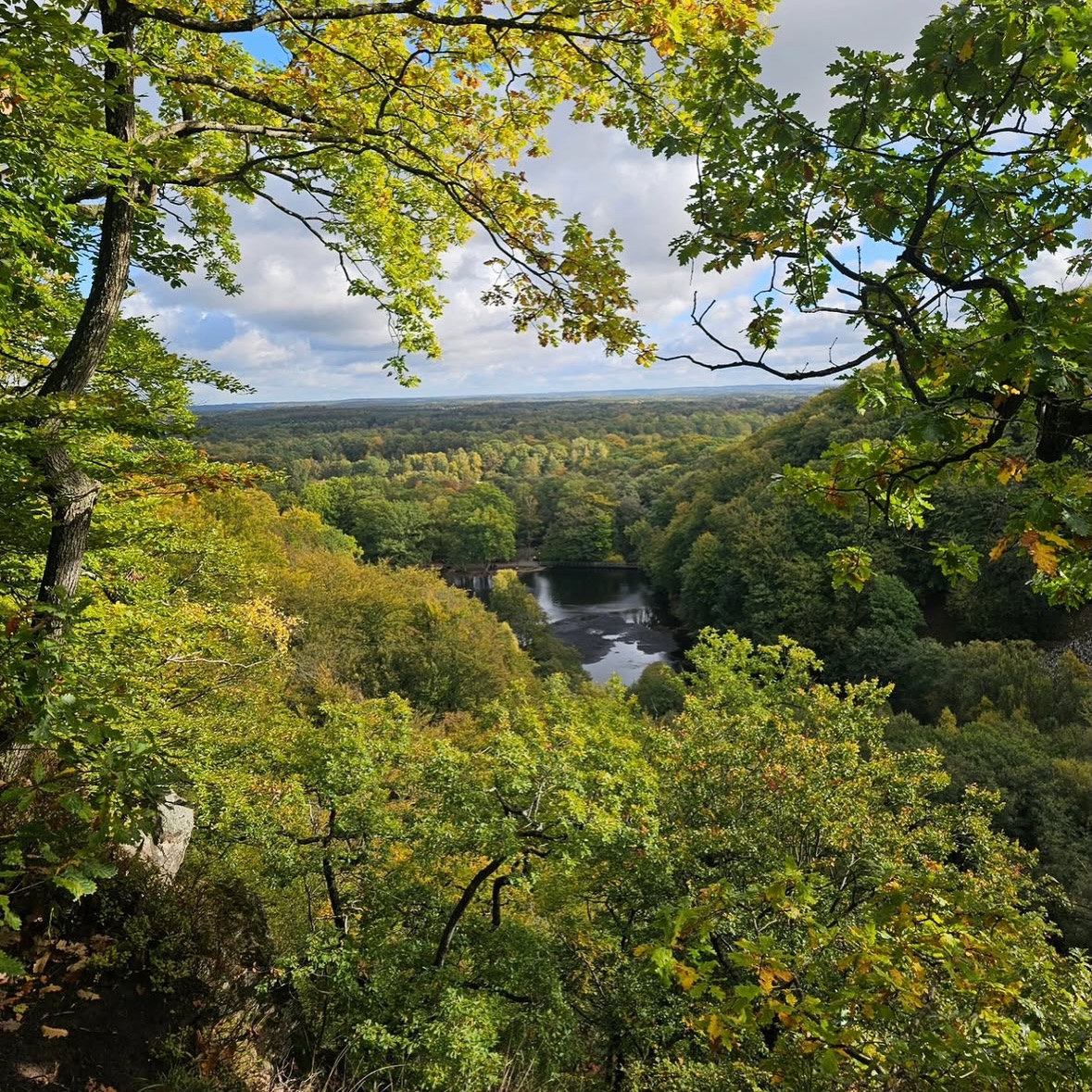 Discovering Southern Sweden's Natural Beauty