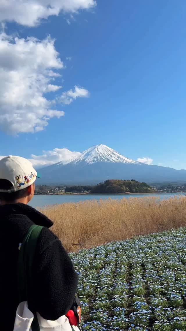 Tokyo Day Trip Views Of Mount Fuji
