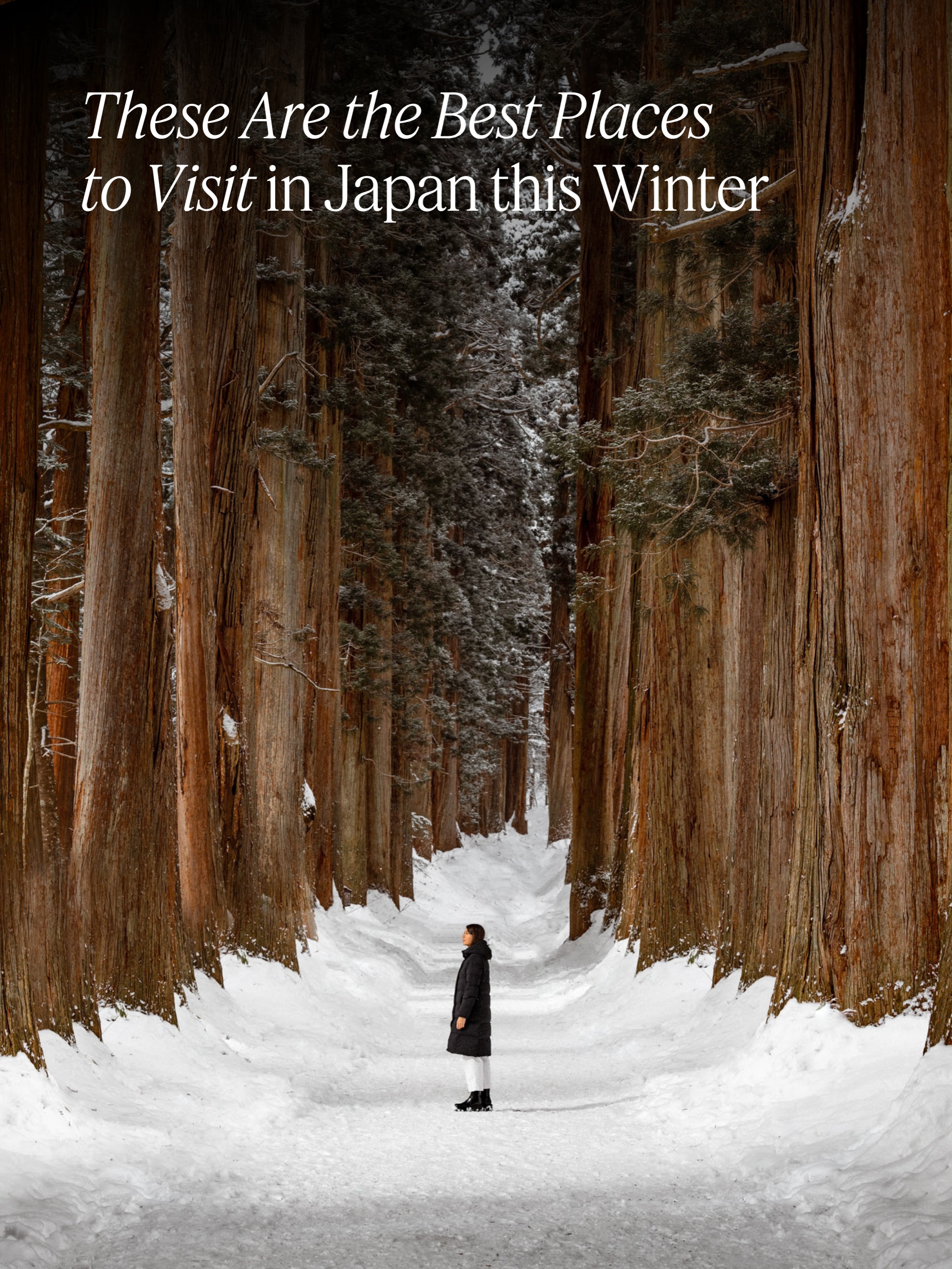Japan's Top Winter Destinations