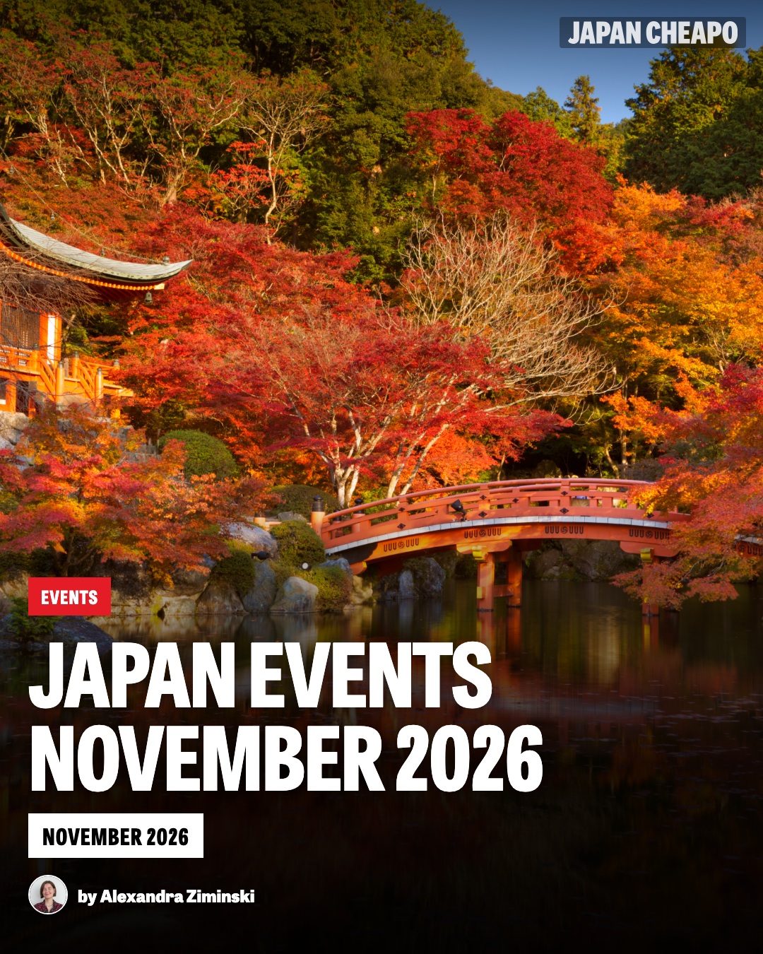 November Festivals And Illuminations Across Japan