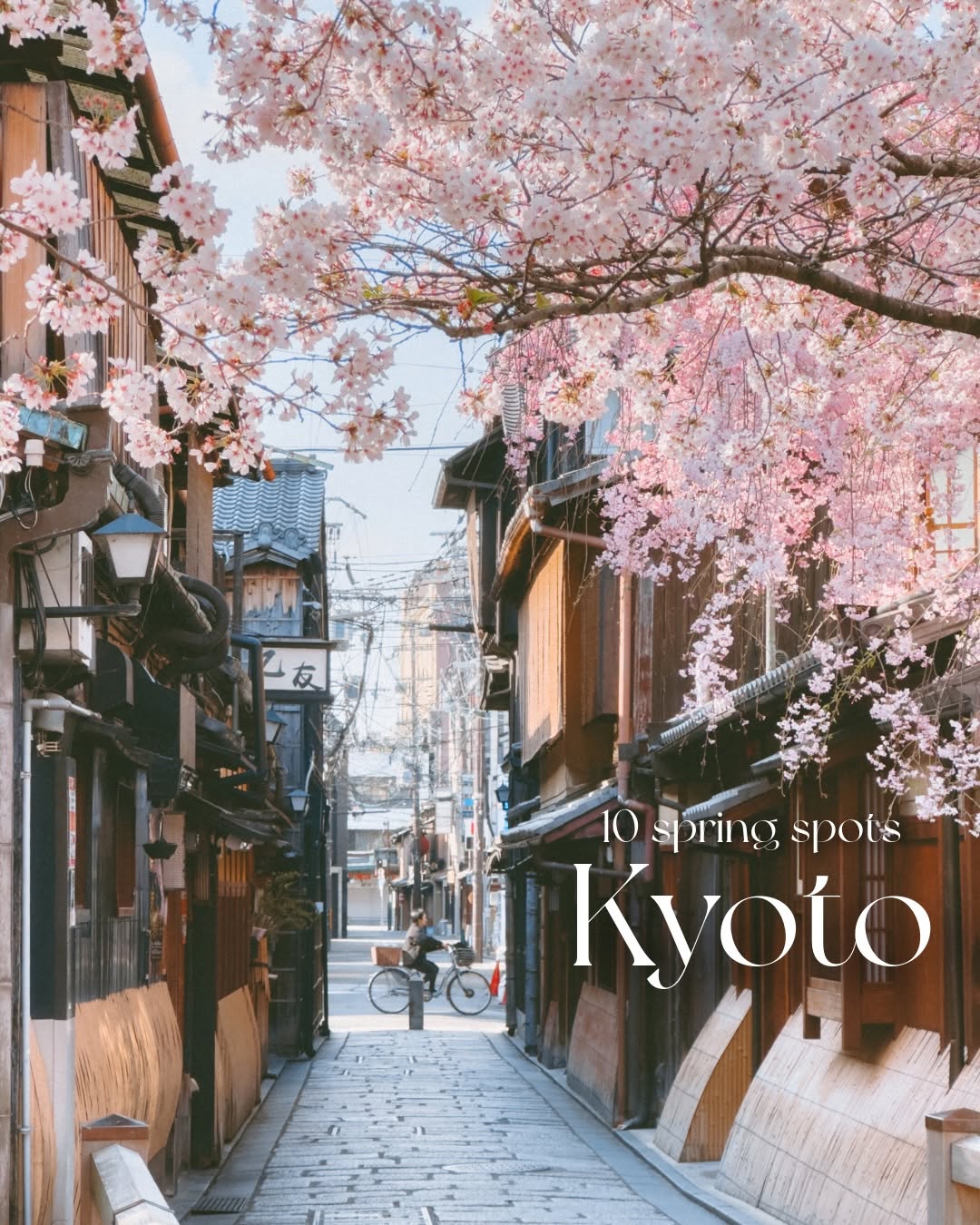 Sakura Viewing Spots Around Kyoto