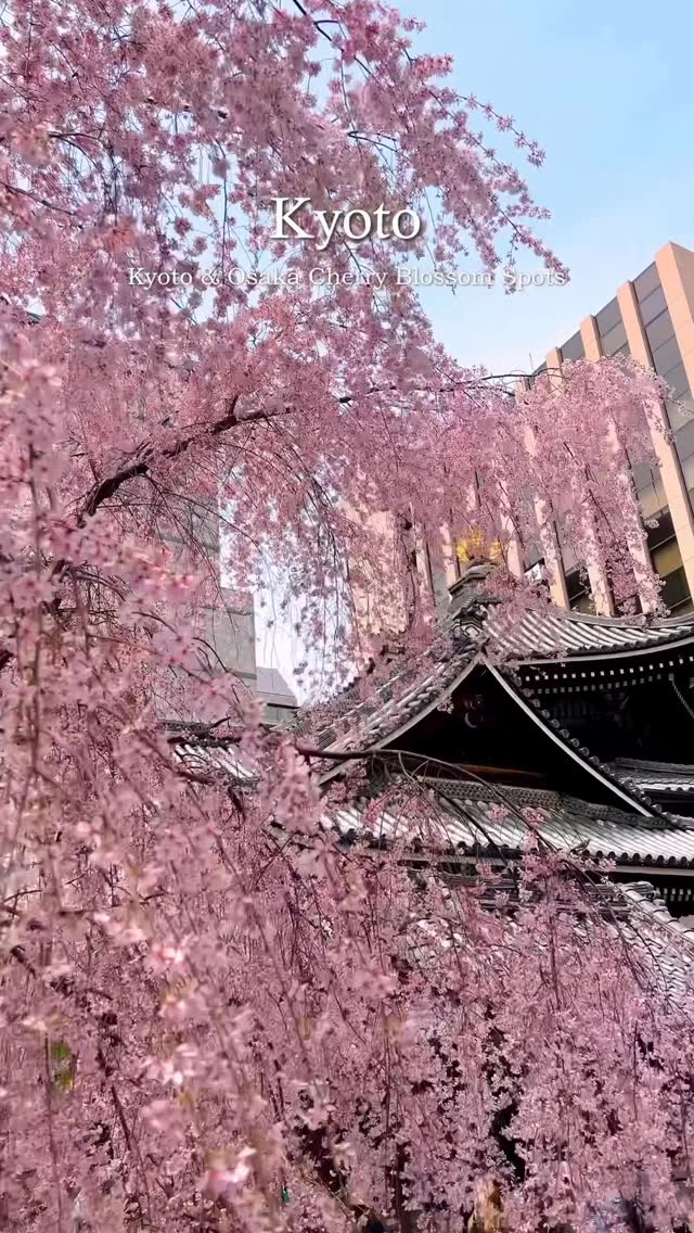 9 Attractions in Japan
