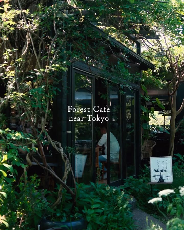 6 Cafes in Japan
