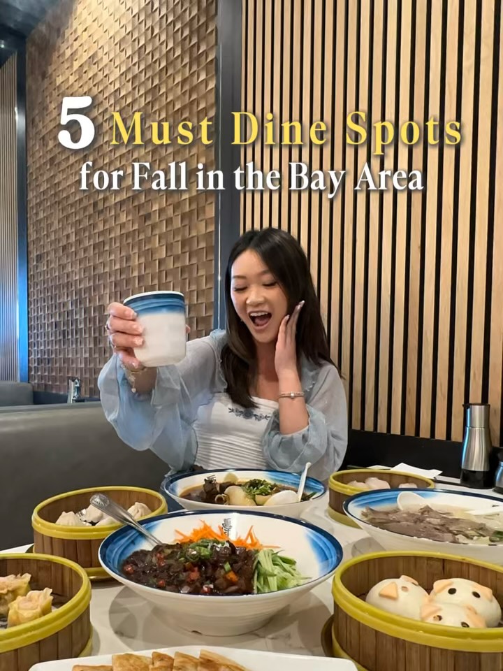 Bay Area Eateries Offer Diverse Global Flavors