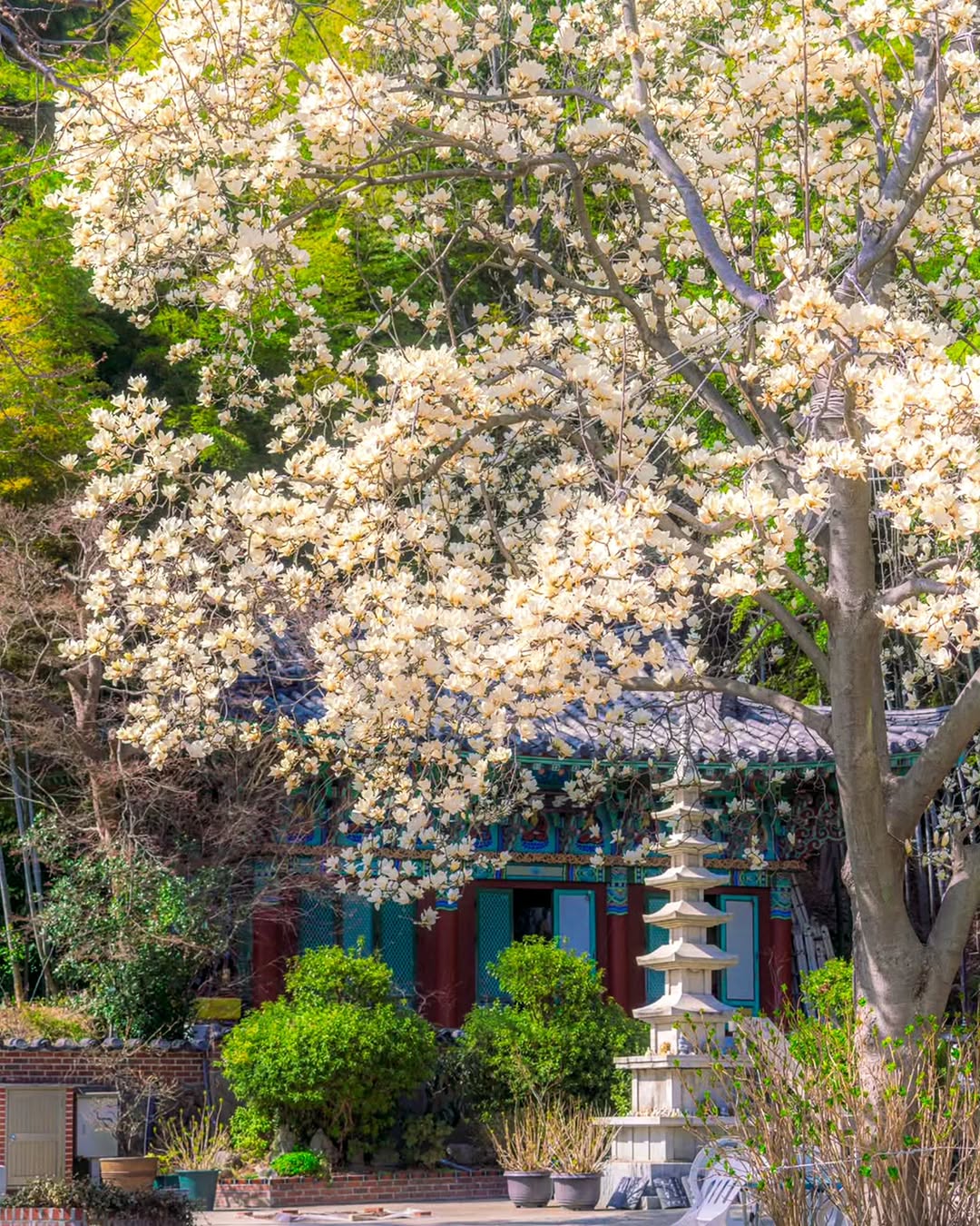 3 Places in South Korea