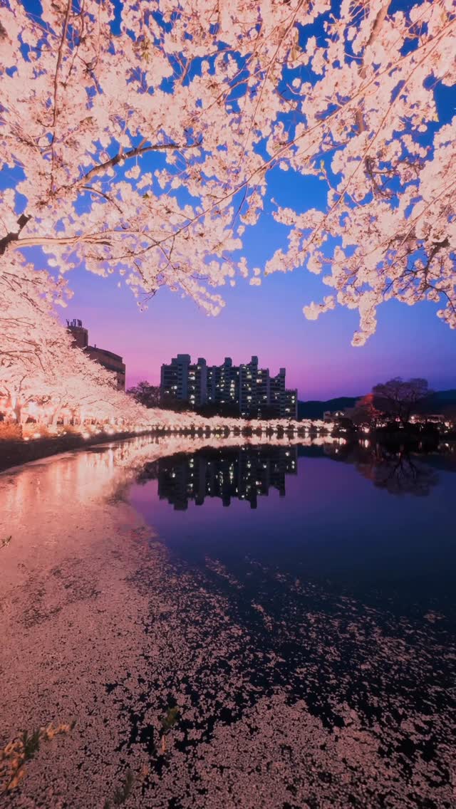 Gimcheon Yeonhwaji: Korea's Cherry Blossom Gem