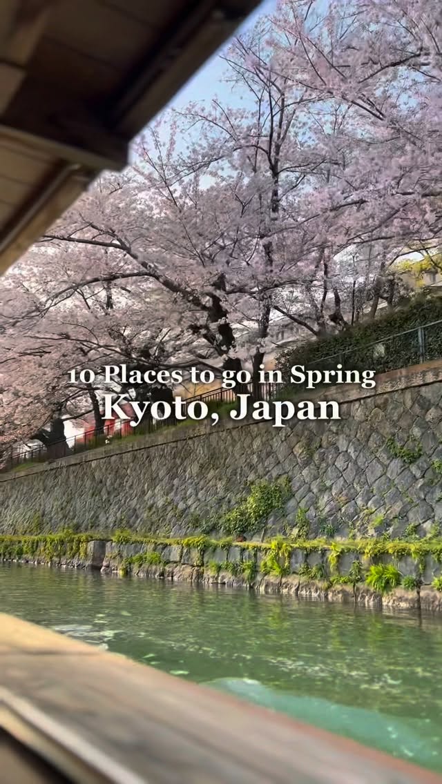 Kyoto's Temples, Shrines, and Scenic Paths