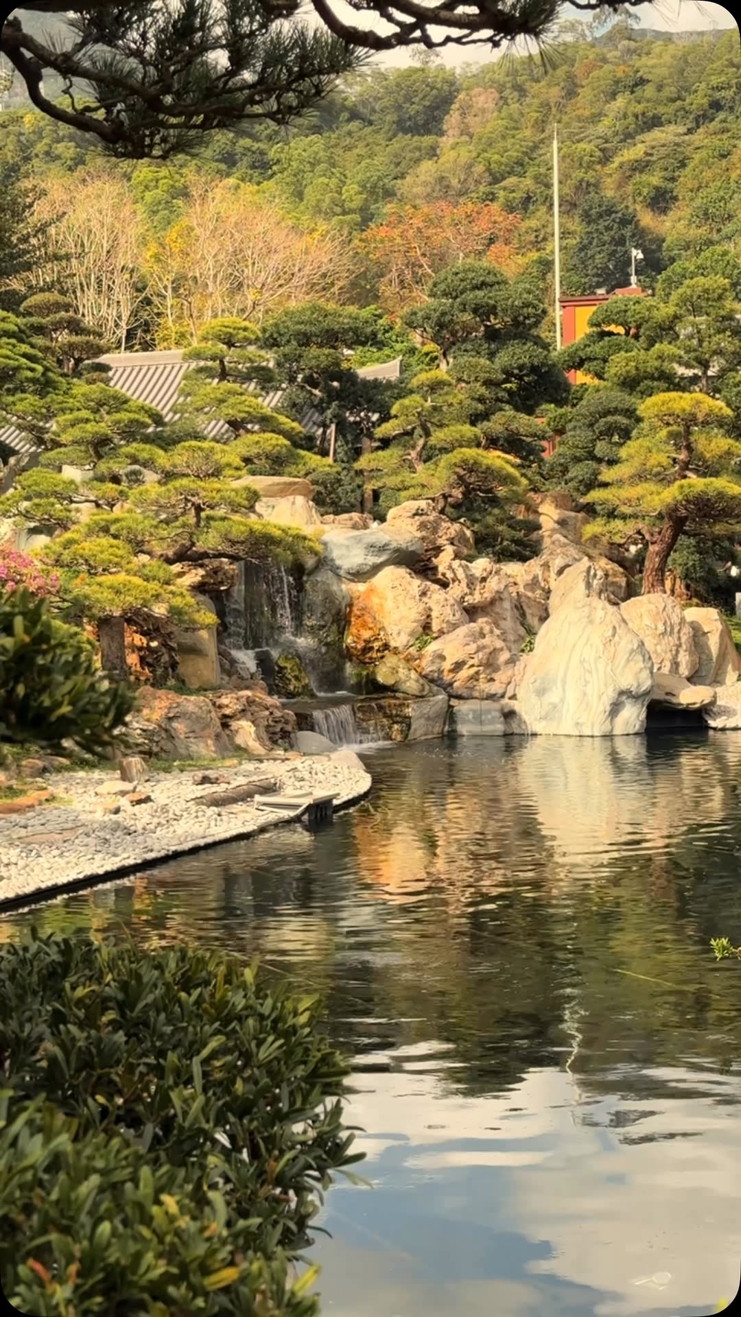 Hong Kong's Tranquil Gardens and Temples