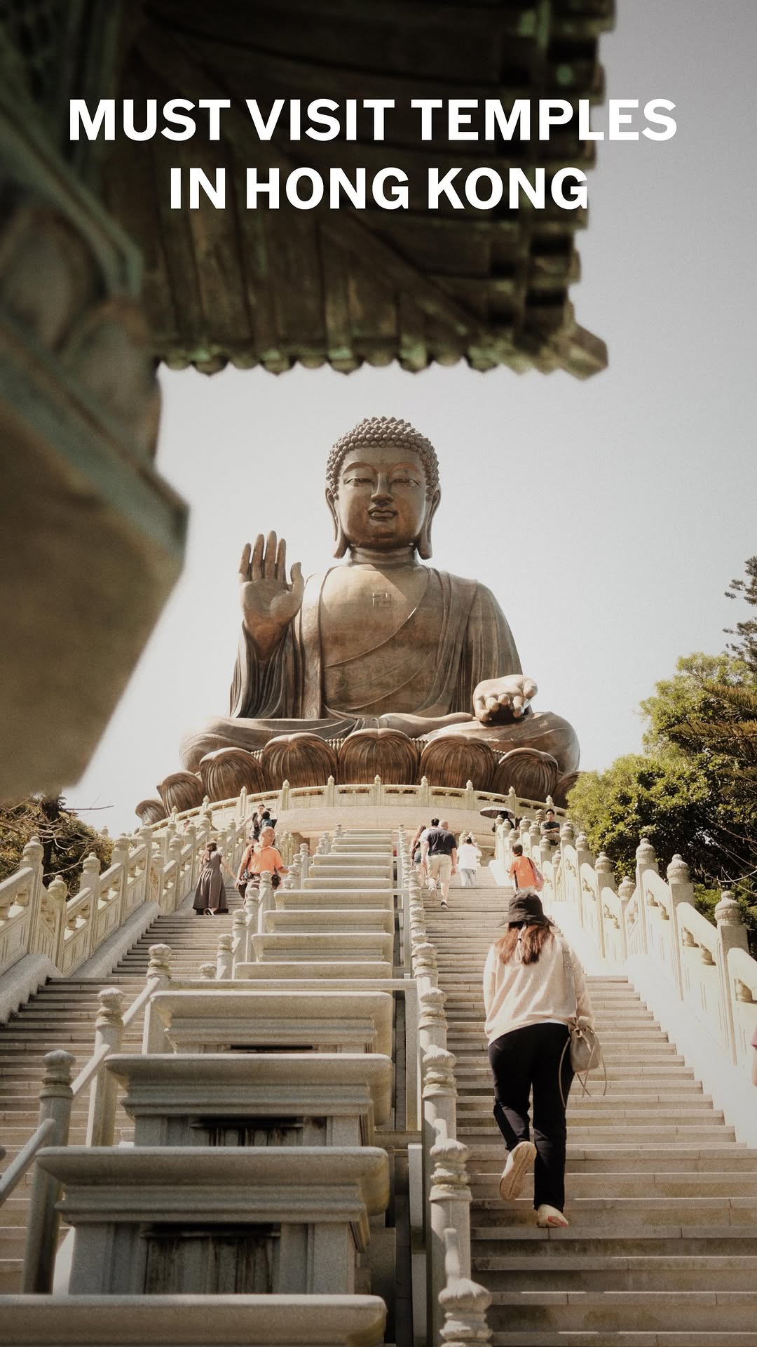 Hong Kong Temples And The Big Buddha