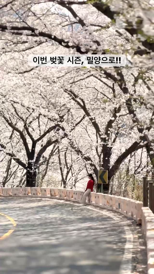 1 Entertainment spots in Miryang