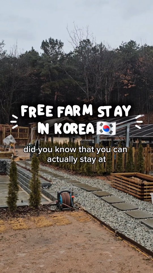 WWOOF Farm Stay Experience In Rural Korea