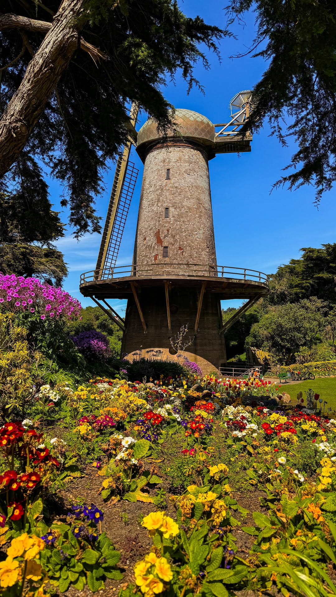 17 Attractions in San Francisco