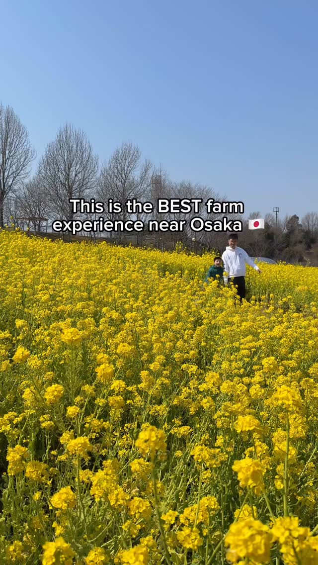 3 Parks in Sakai